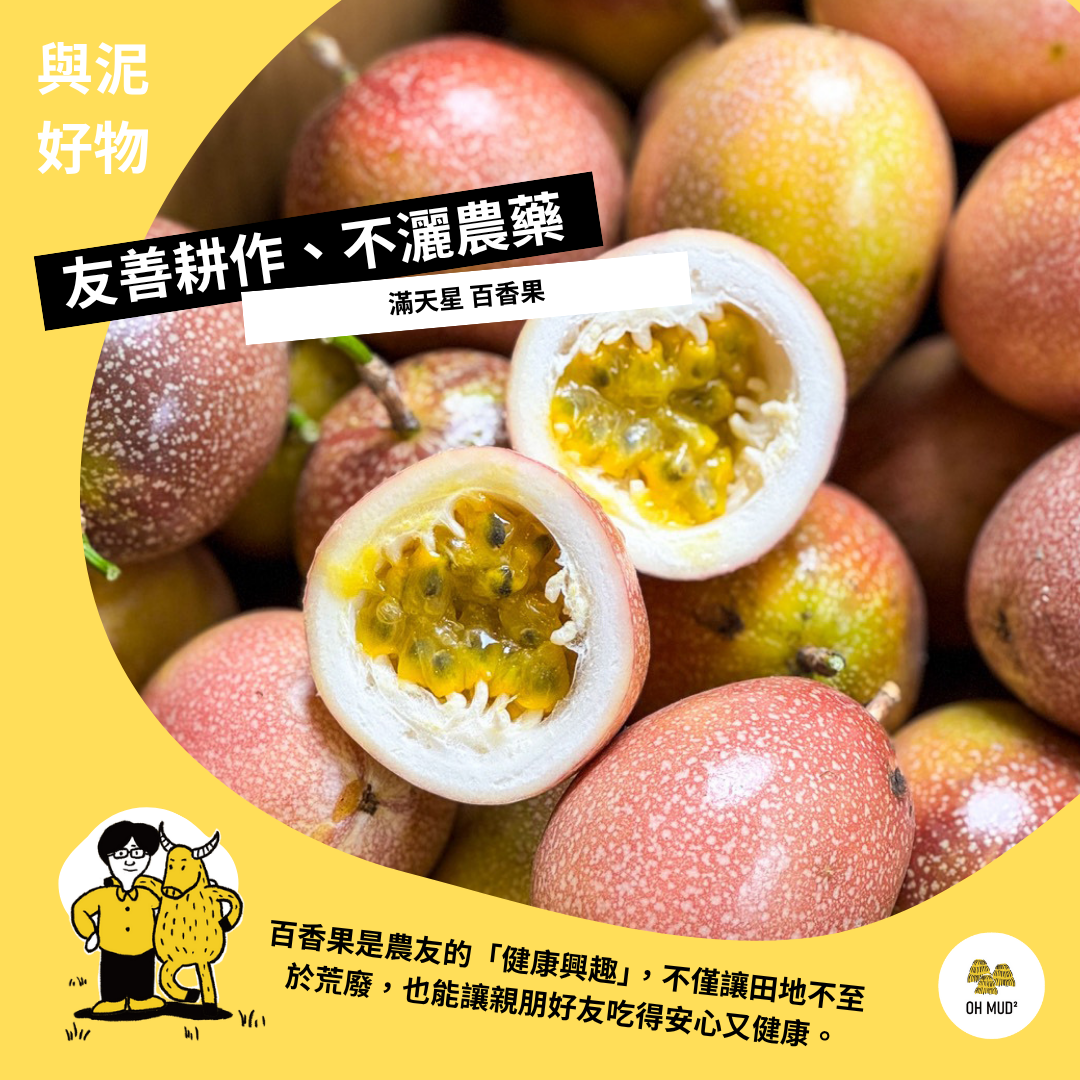 【長大中】滿天星 百香果