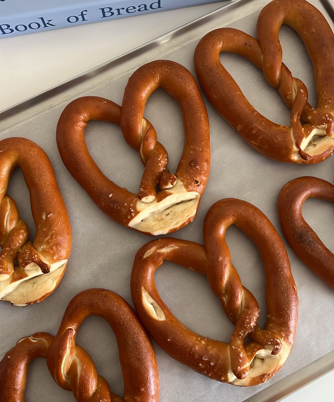 鹼水結🥨