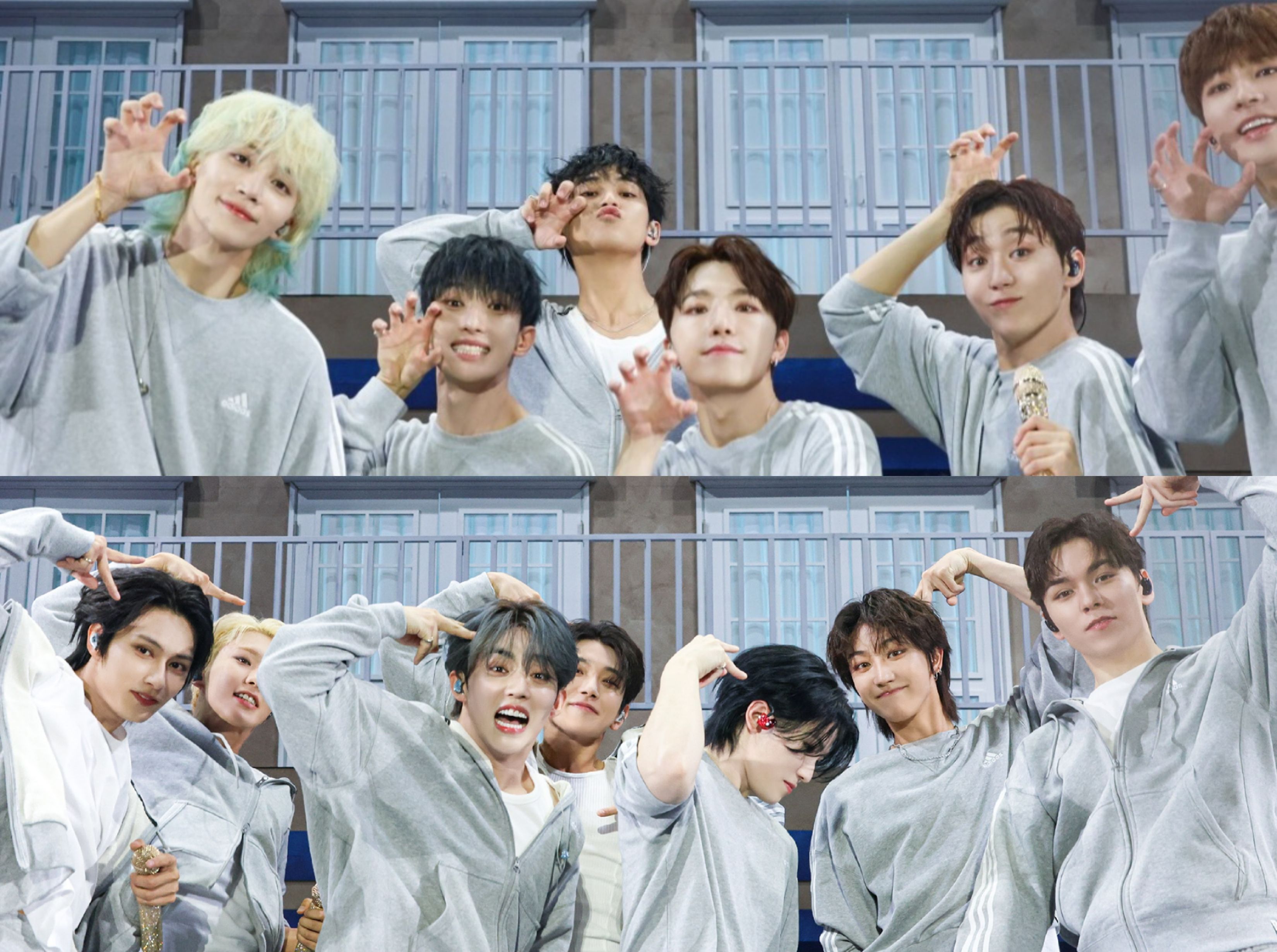 包手（務必下單，視為手續費）