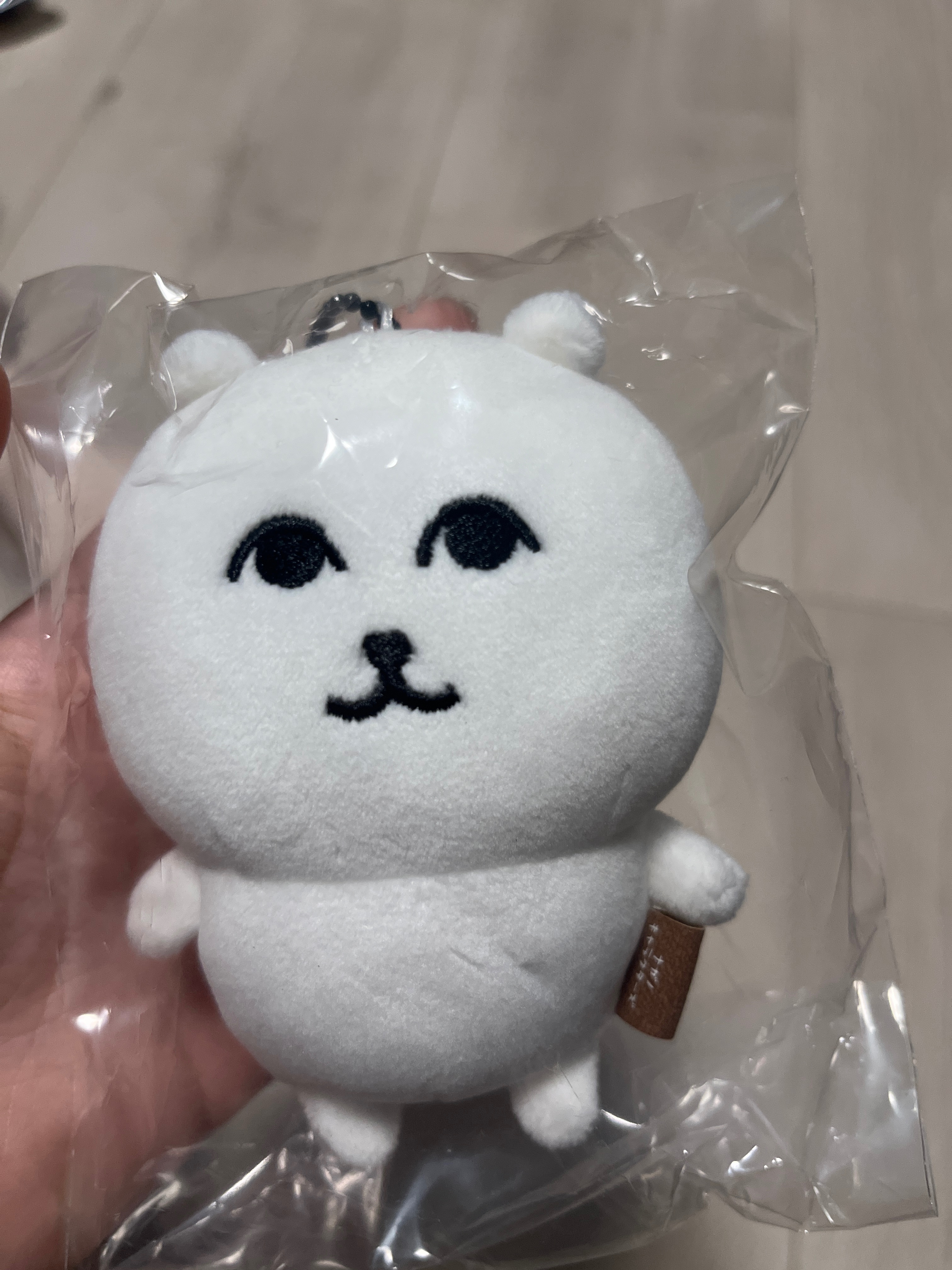 溫柔熊