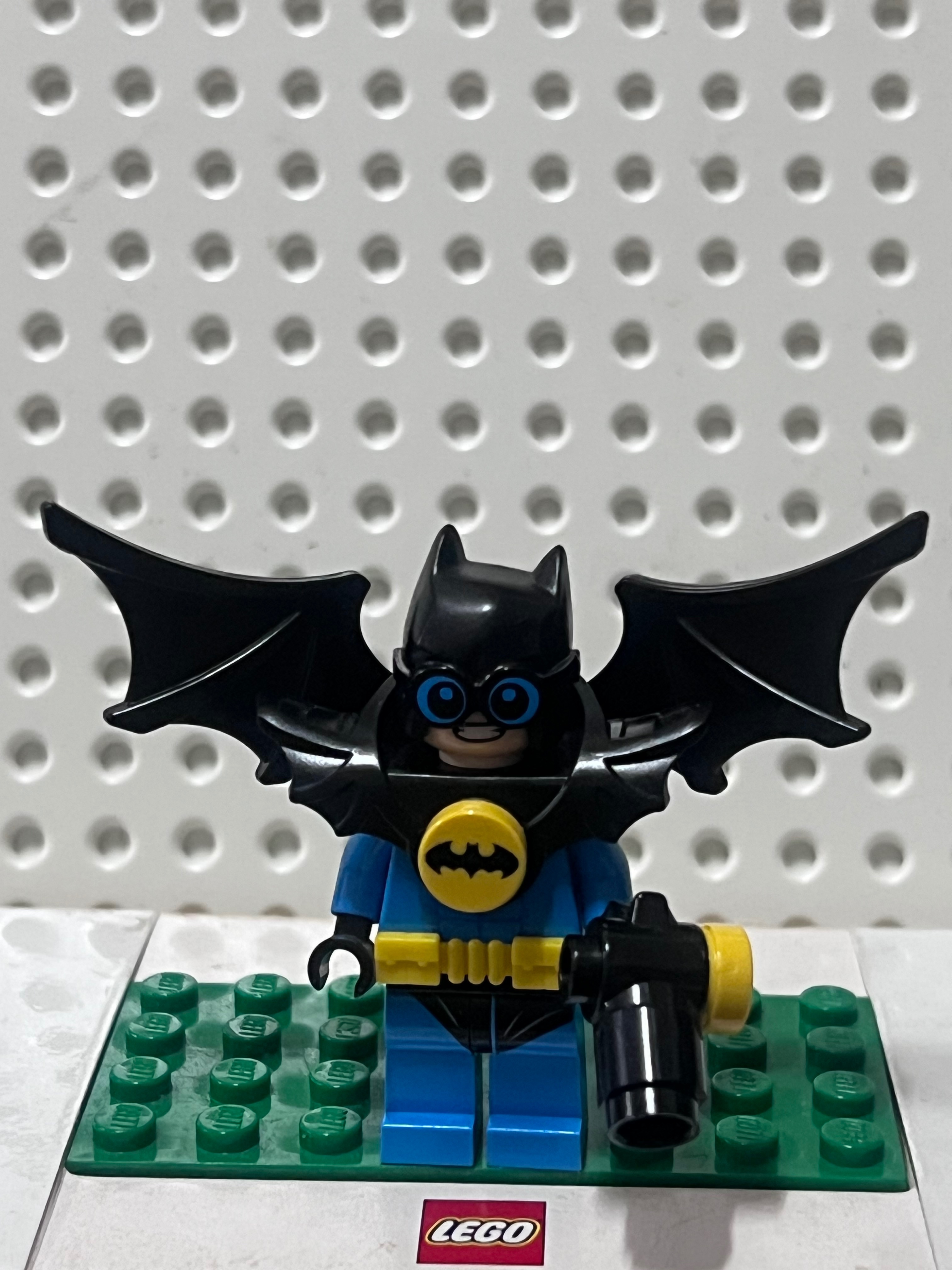 LEGO 小丑莊園夜翼