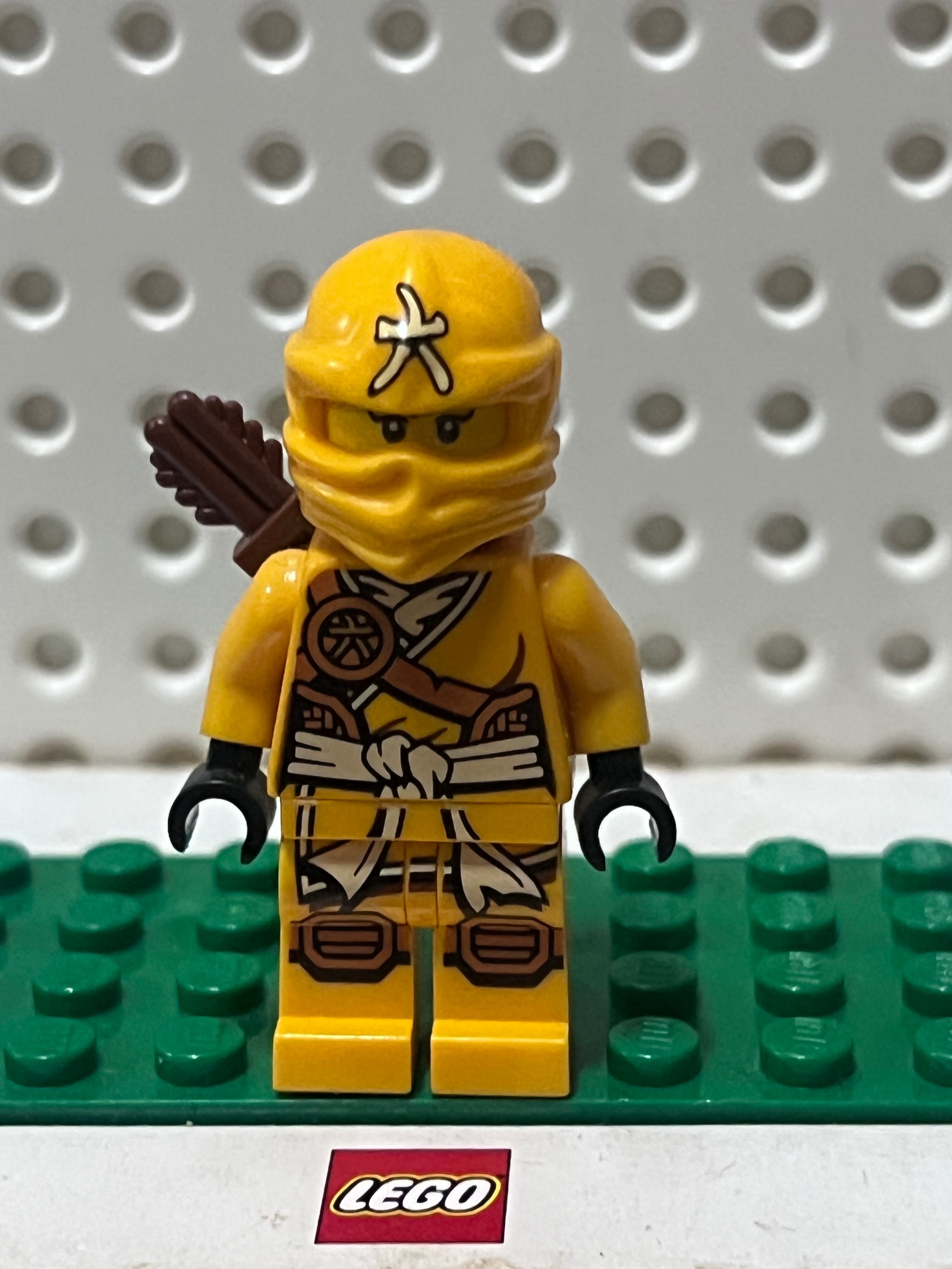 LEGO 愷樂忍者
