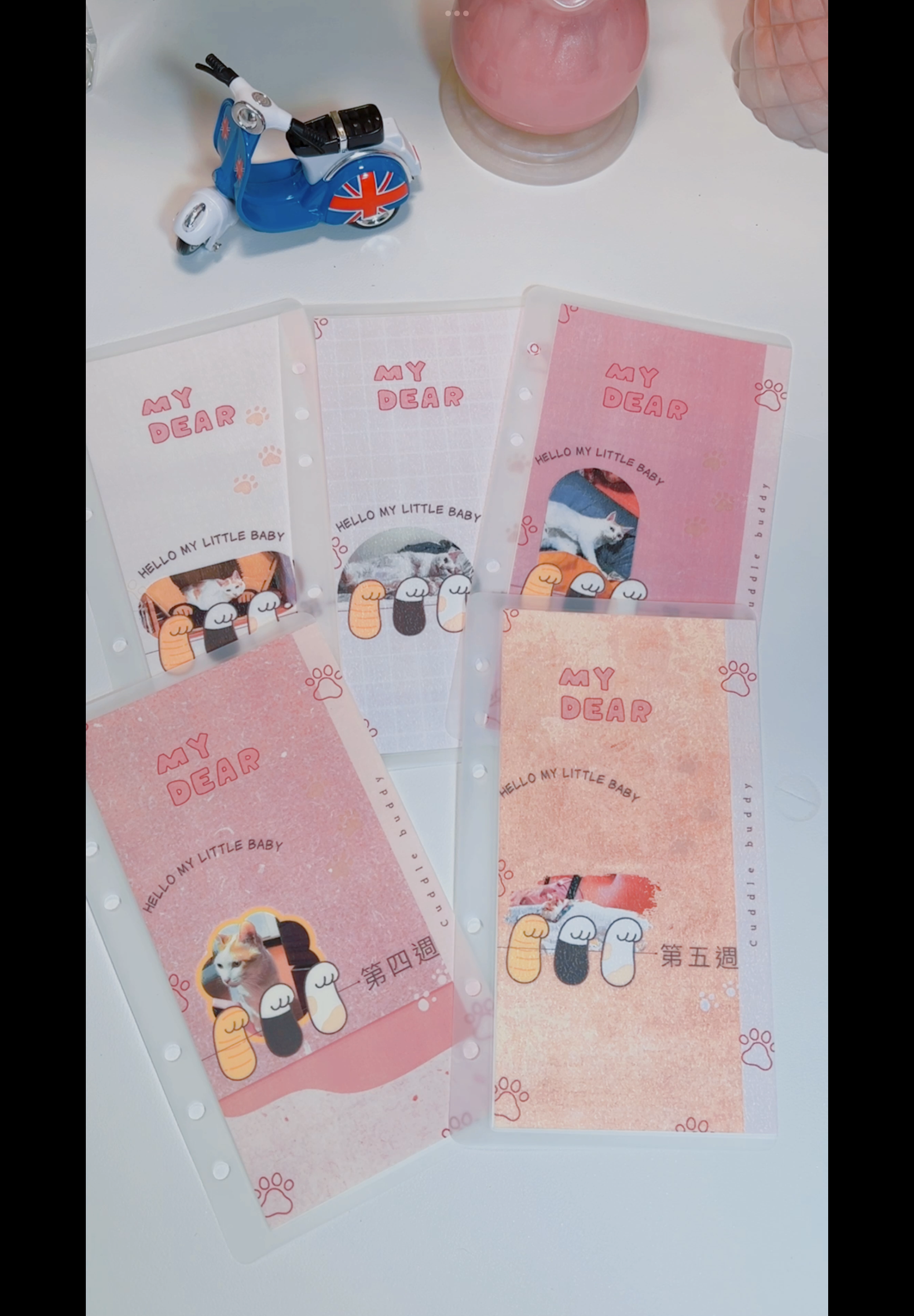 5週現金預存收納袋【客製化照片】