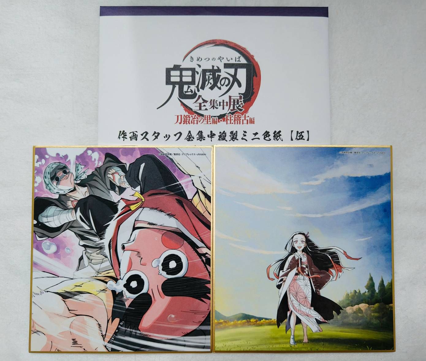 鬼滅之刃 全集中展 迷你色紙【伍】