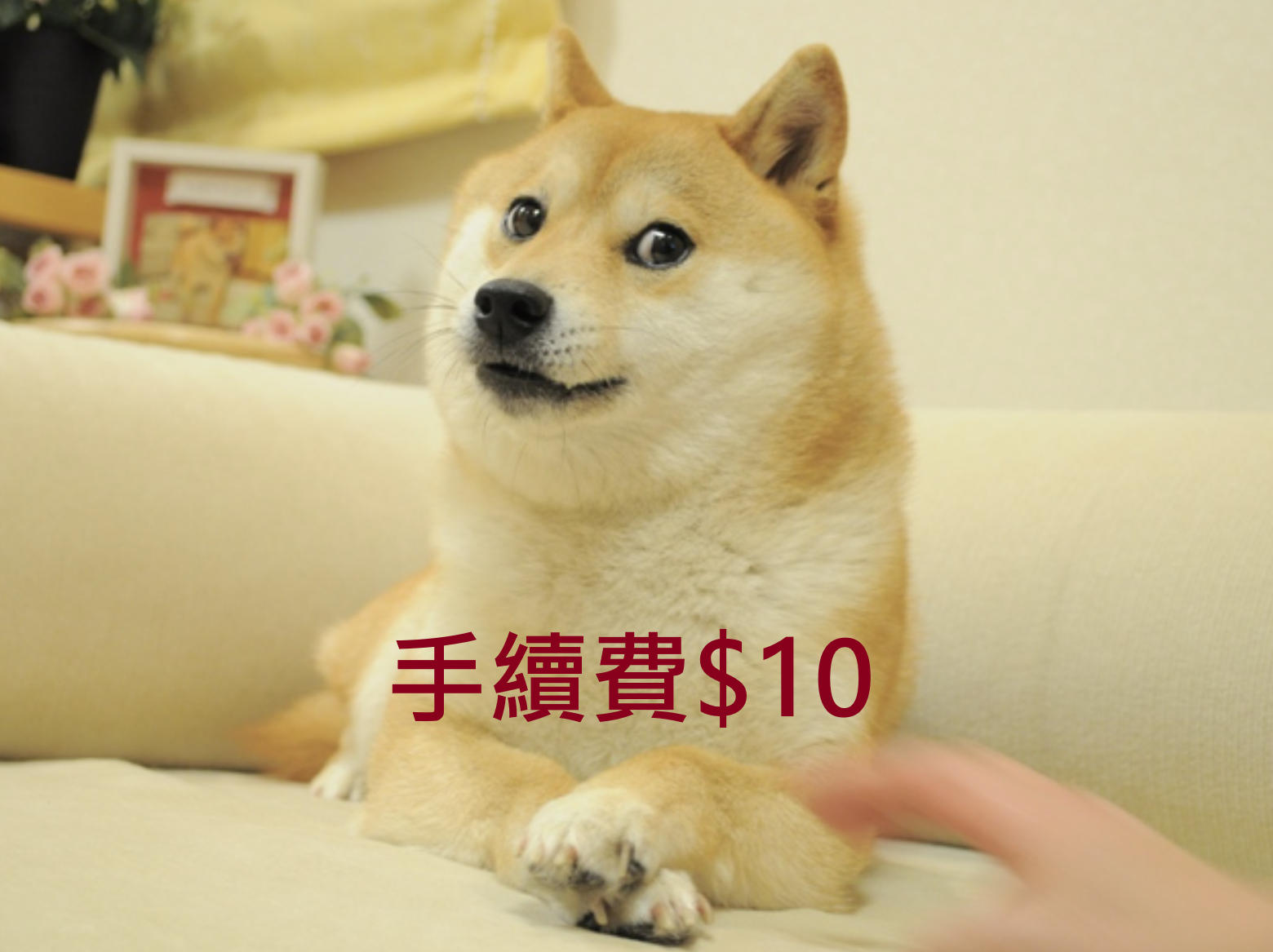 手續費$10