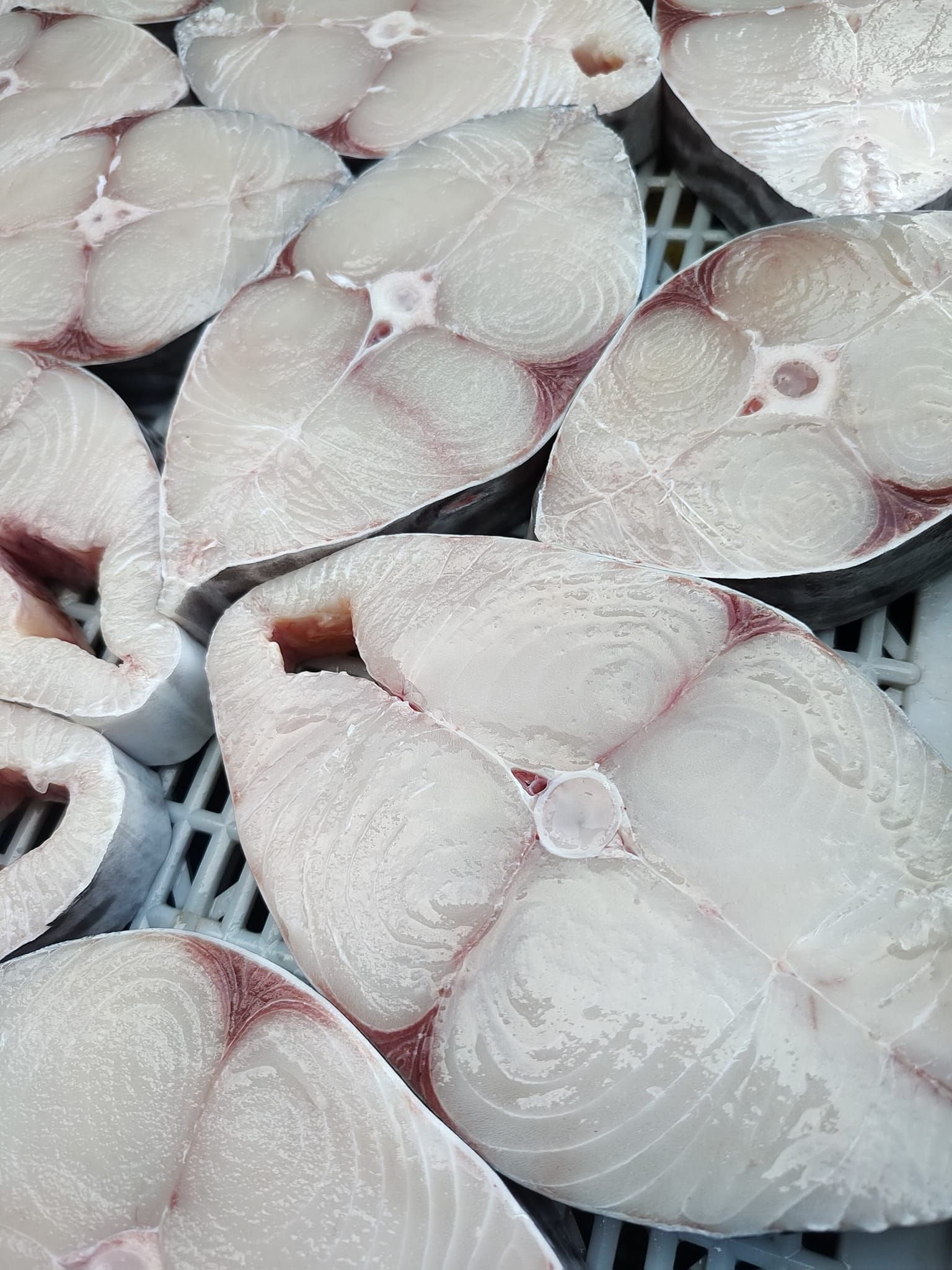 土魠魚骨肉
