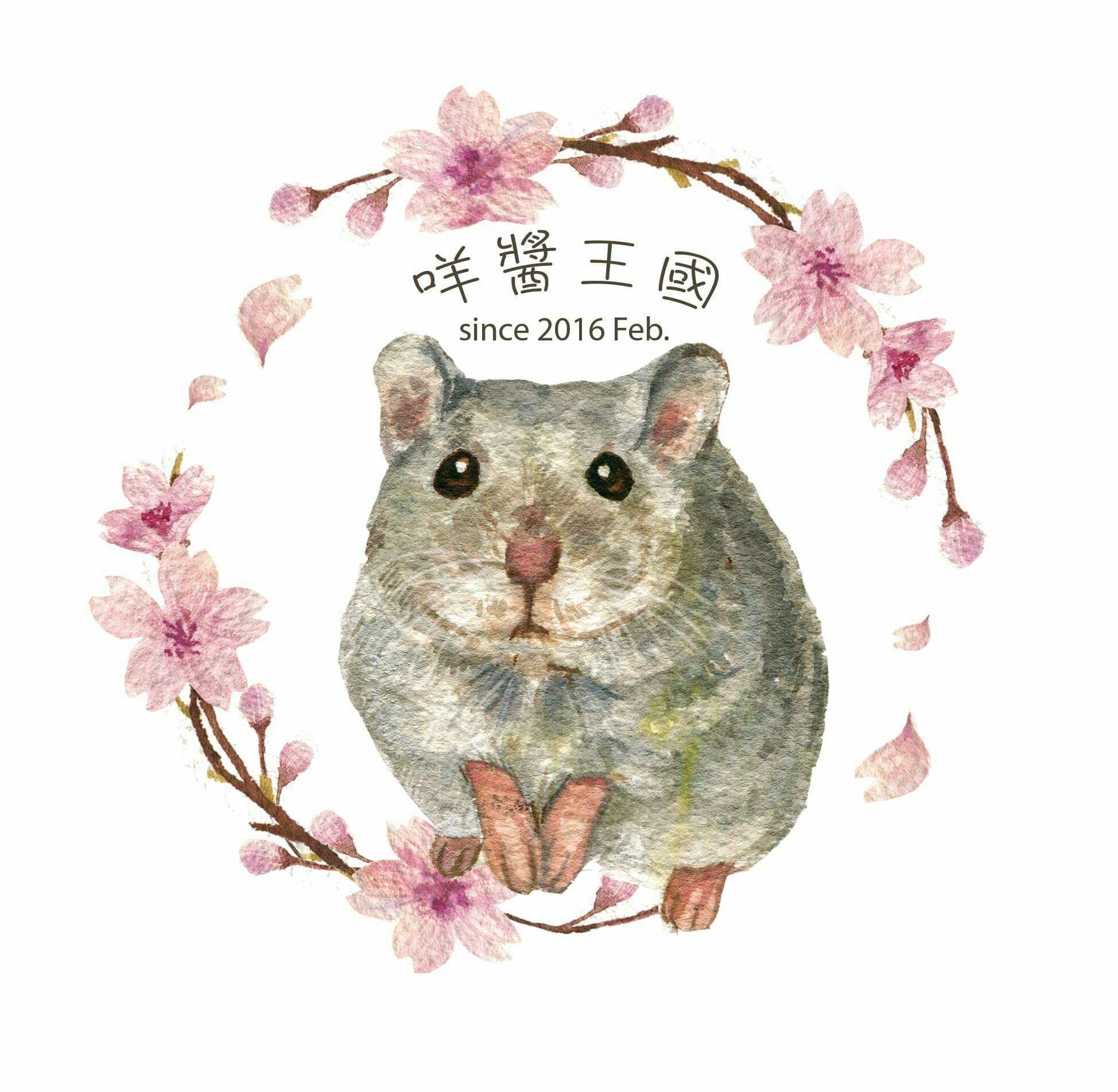 咩醬鼠食合併專區