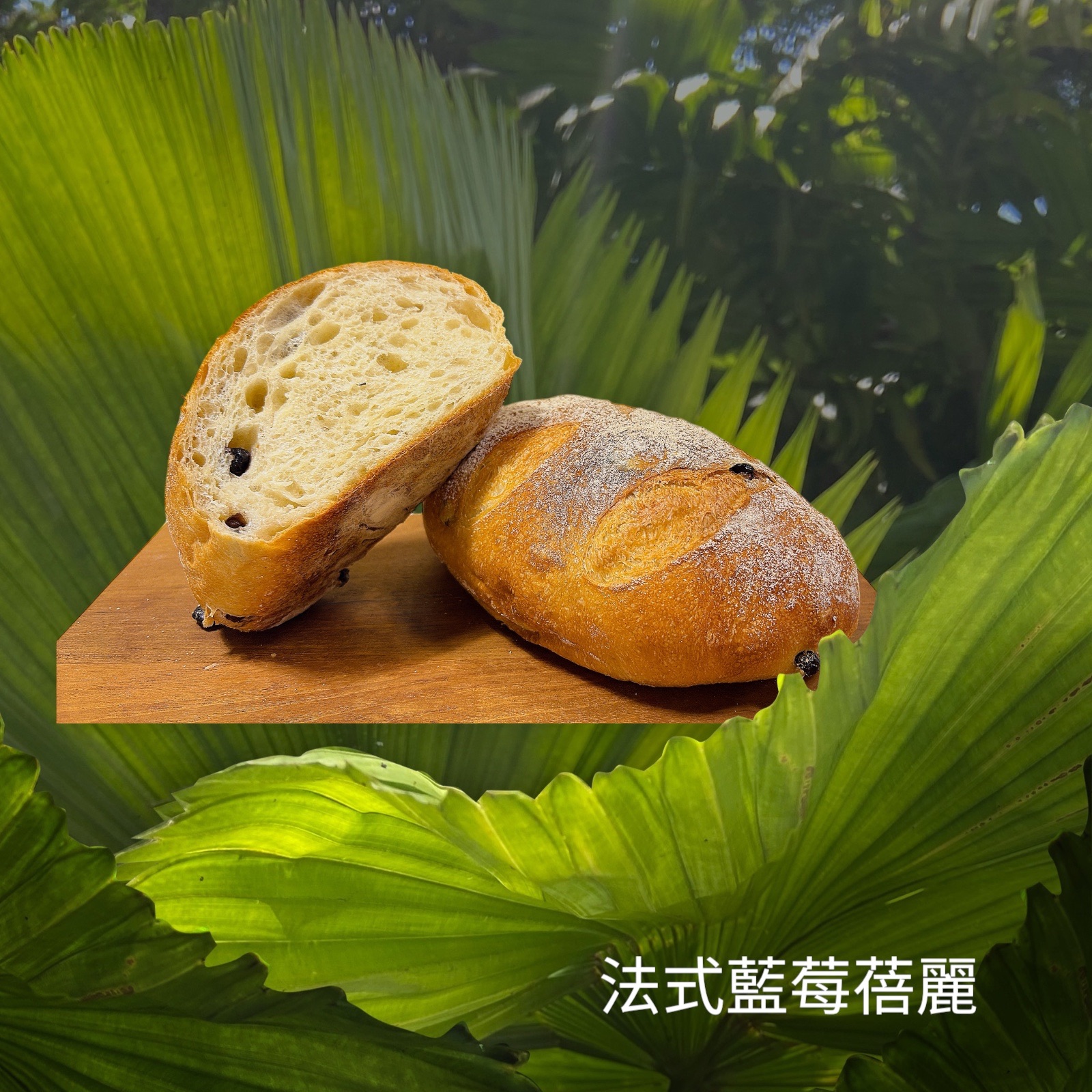 法式藍莓蓓麗（蛋奶素）
