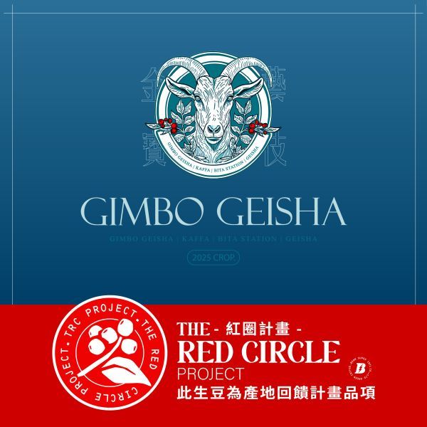 水洗金寶藝伎