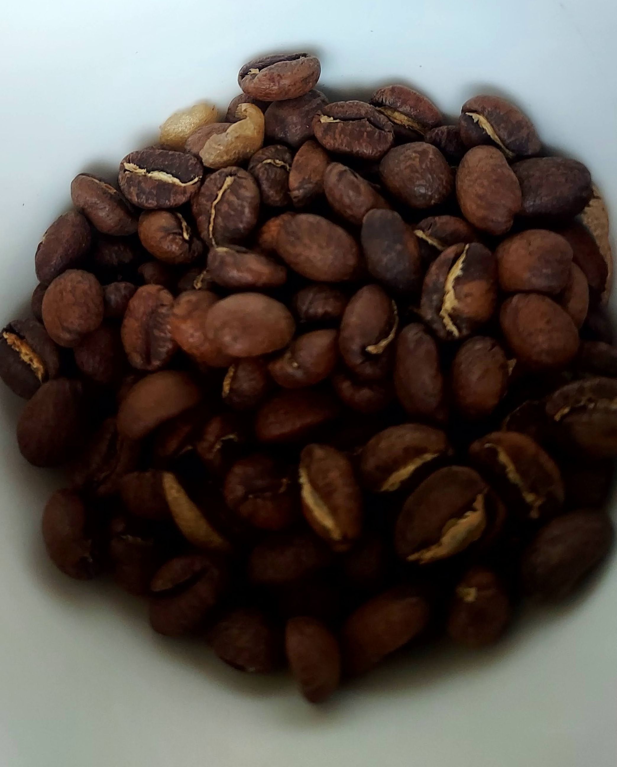 中焙 水洗 哥斯大黎加 大喬莊園