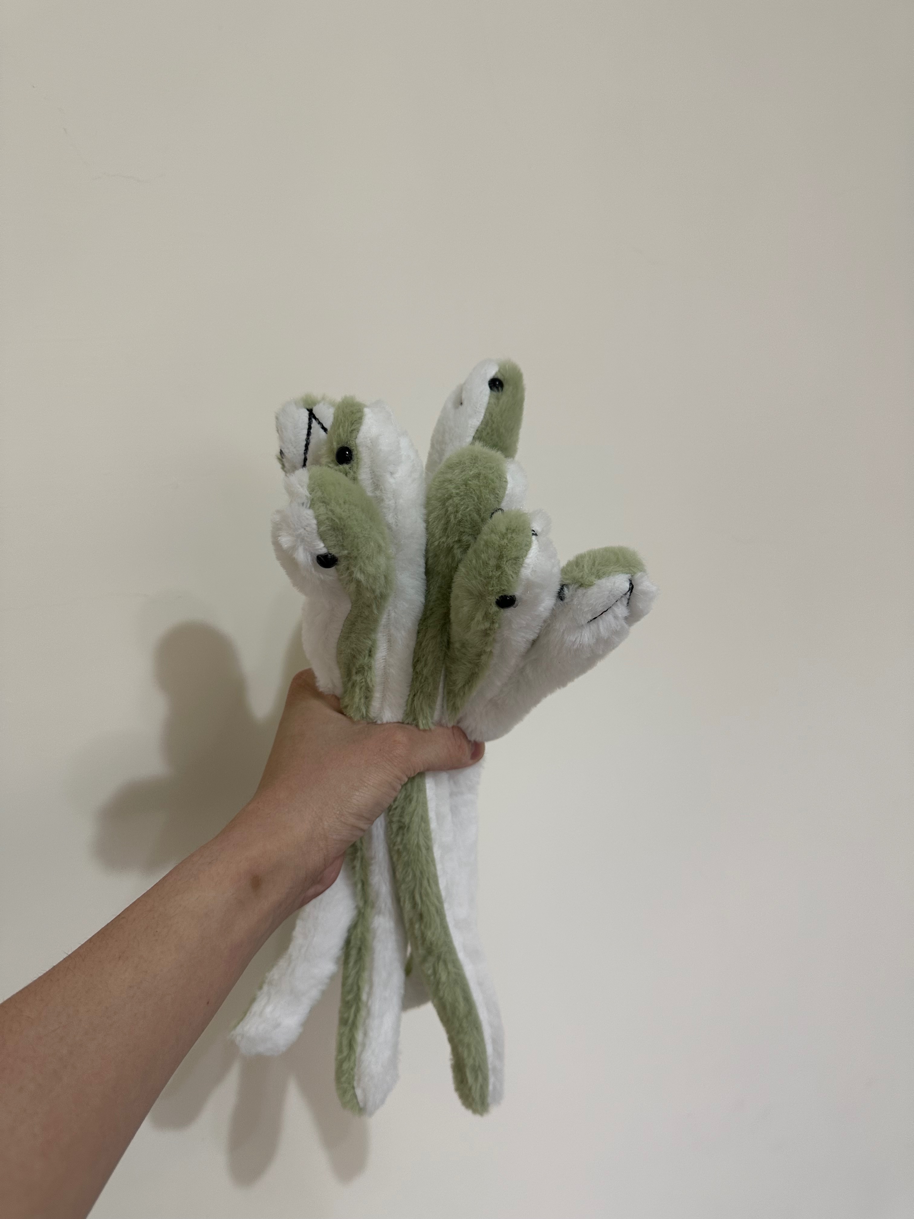 蛇年行大運🐍