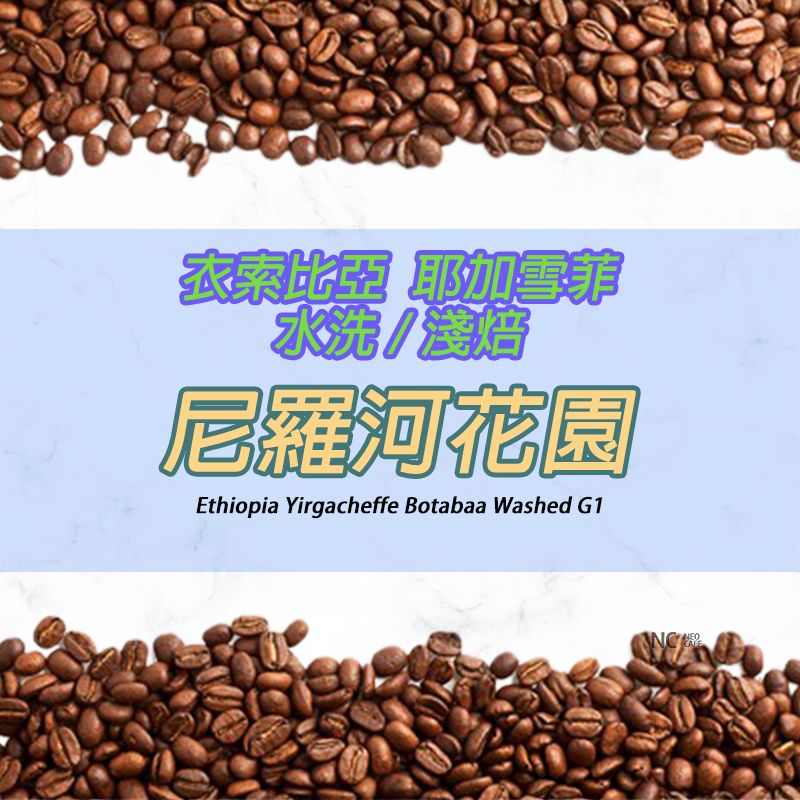 【衣索比亞 耶加雪菲 尼羅河花園】水洗 / 淺焙