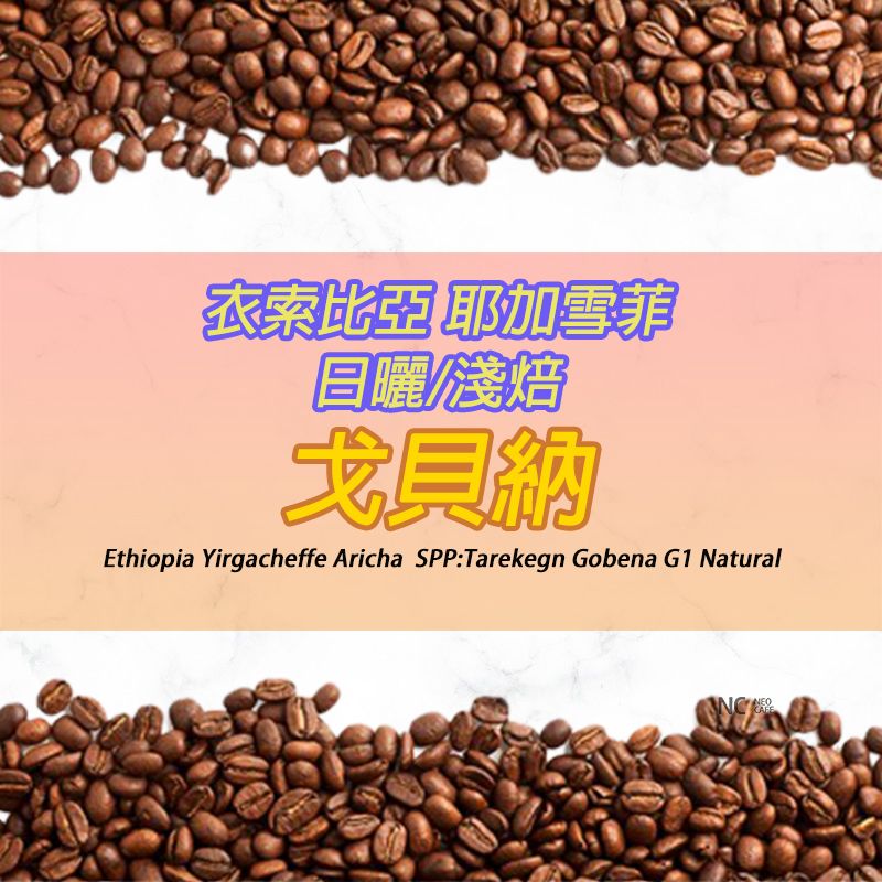 【衣索比亞 耶加雪菲 戈貝納】日曬 / 淺焙
