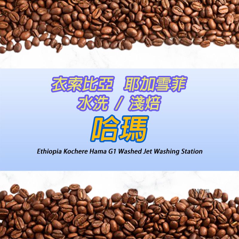 【衣索比亞 耶加雪菲 哈瑪】水洗 / 淺焙