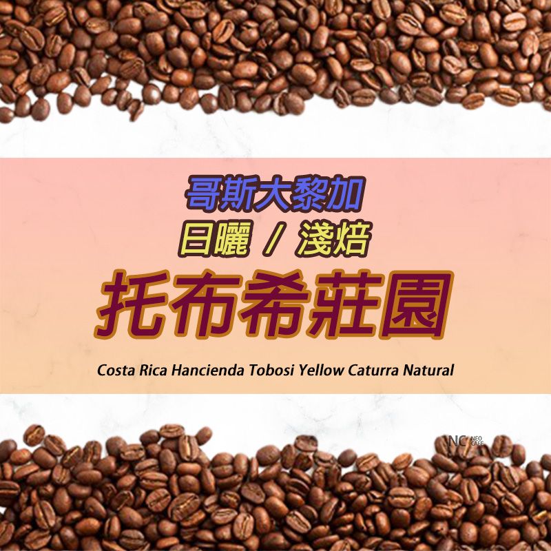【哥斯大黎加  托布希莊園】日曬/中焙