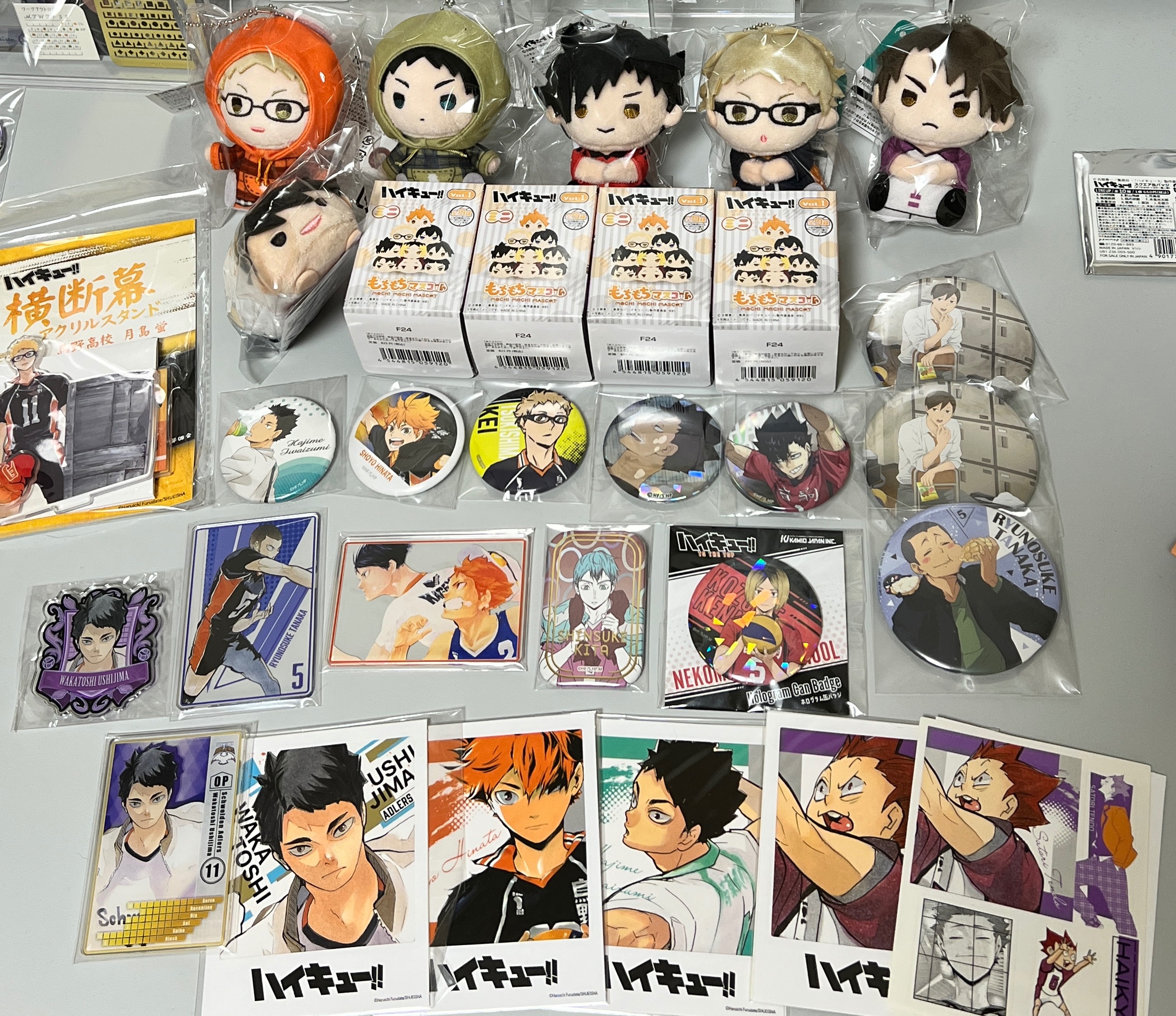 排球少年·指娃·徽章 滿500可選贈品