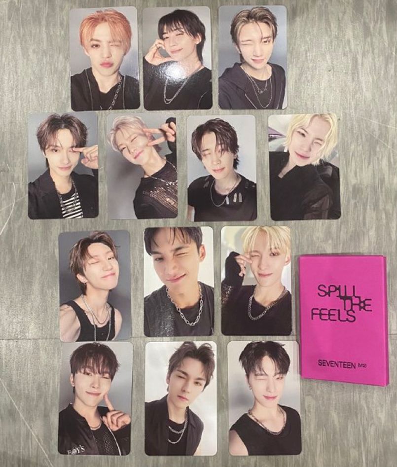 Seventeen 迷12 公放卡 代收