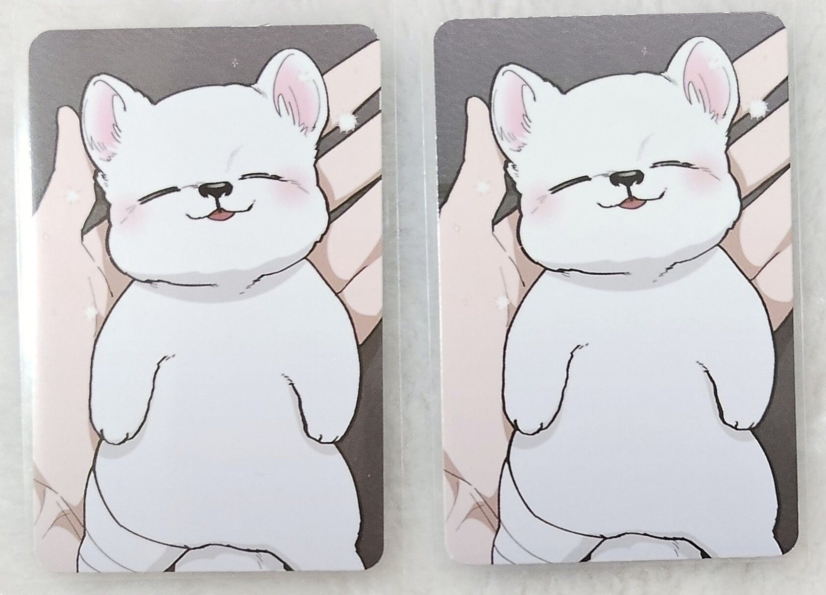 【現貨】不要欺負小狗！掌心小狗捆同ip隨機三張卡（有十元包裝費加十元手續費）