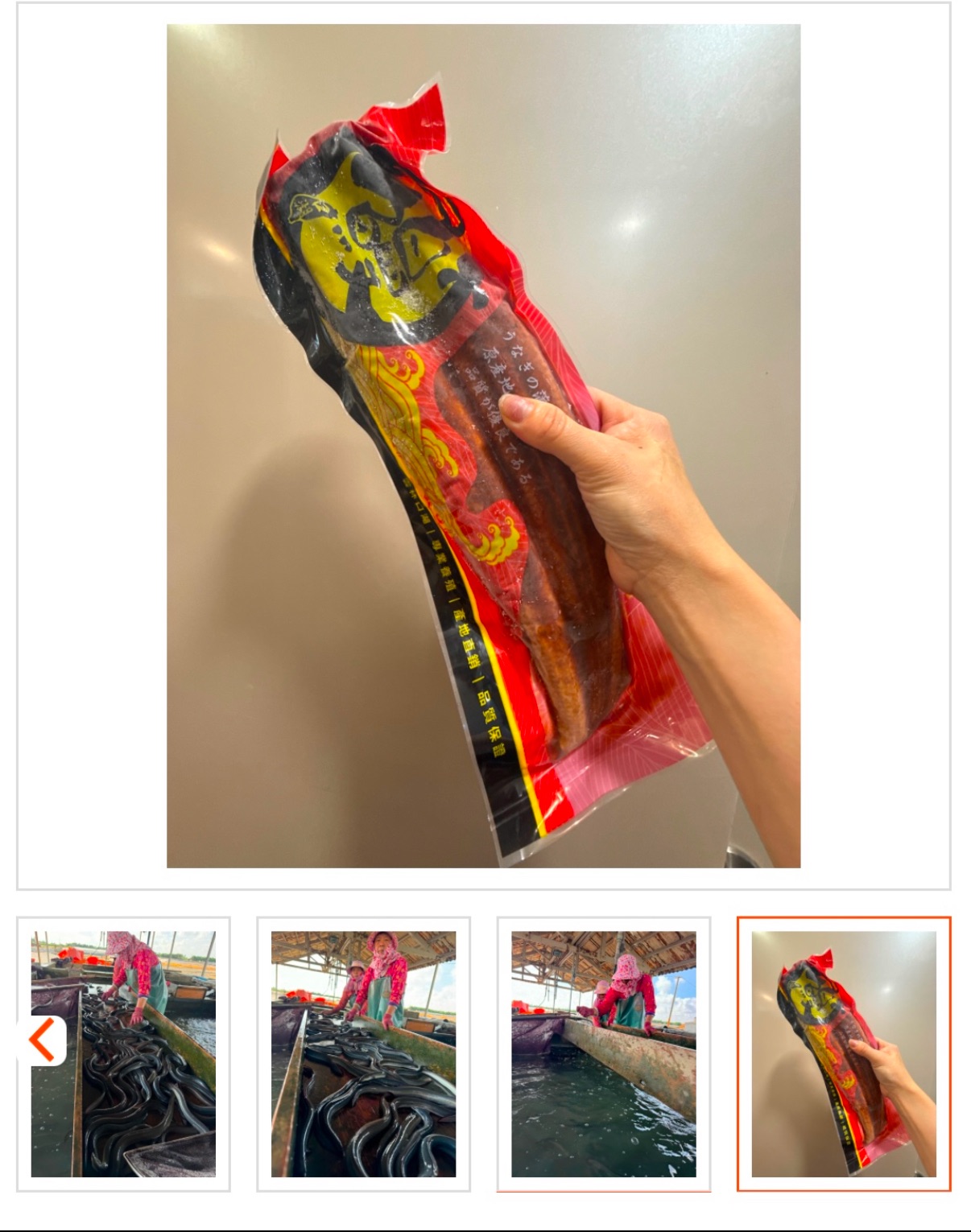 日式蒲燒鰻三尾750公克