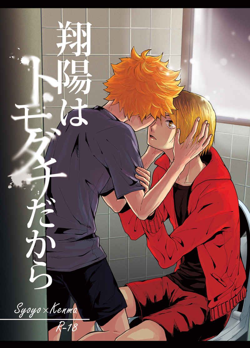 日版HQ排球少年同人誌-日向研磨（日研）/終点は東京【翔陽はトモダチだから 】