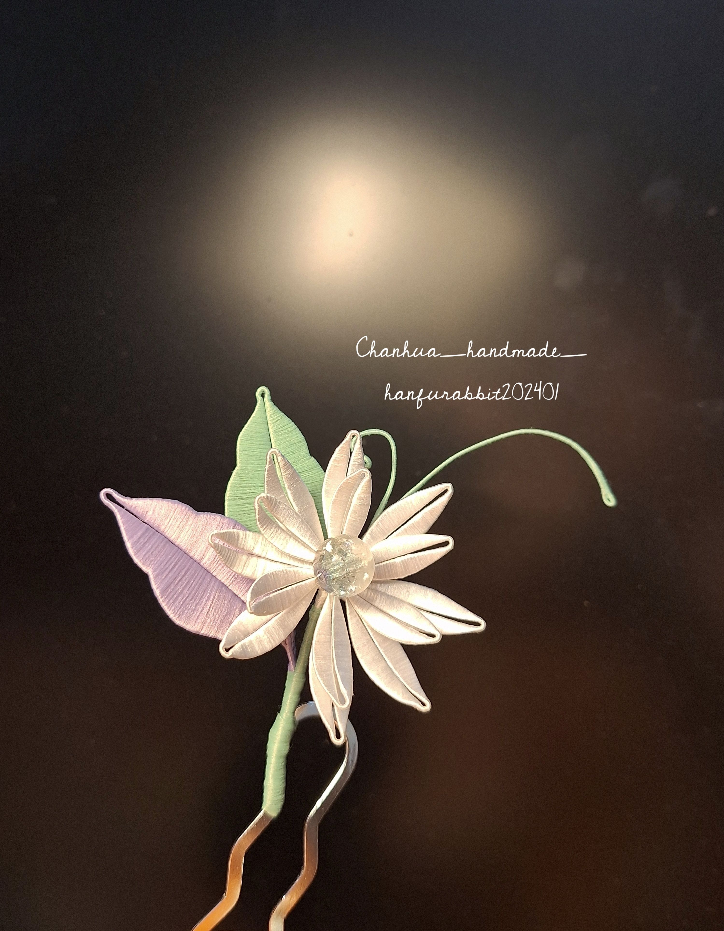 〔蕊寒香冷〕菊