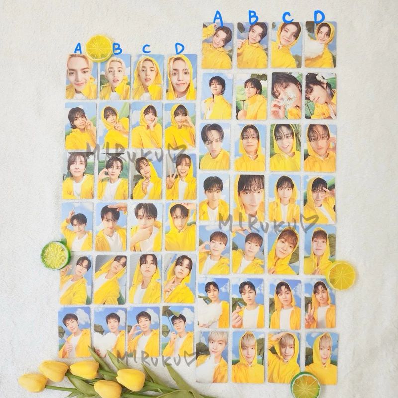 迷11克拉盤 隨機專卡單選（下單前請詳閱賣場說明）