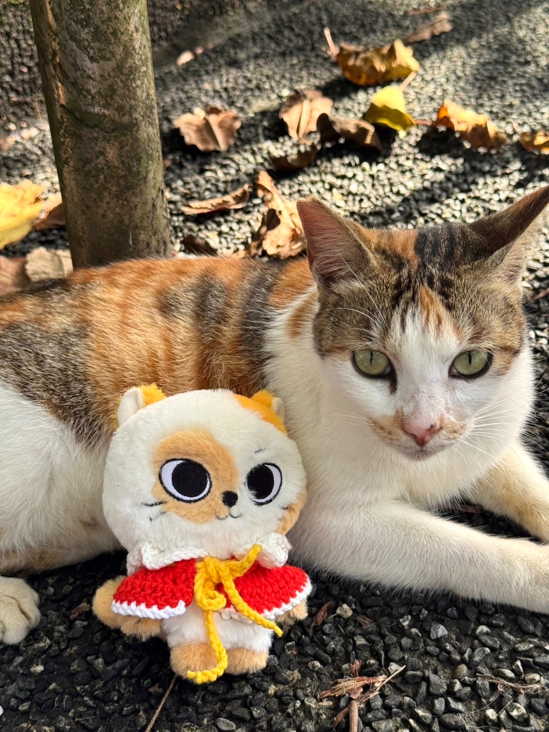 𝖧𝖠𝖯𝖯𝖸 𝖭𝖤𝖶 𝖸𝖤𝖠𝖱🧨