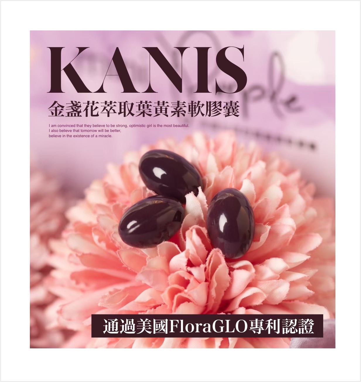 Mini Purple 金盞花萃取葉黃素