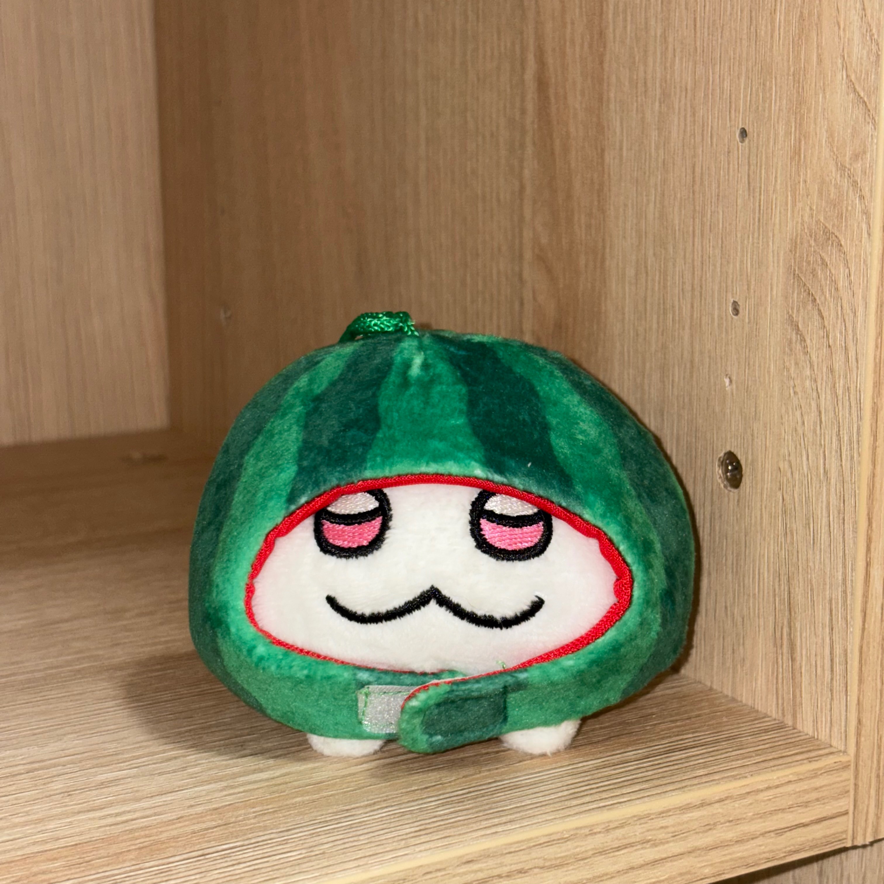 西瓜頭套試穿照