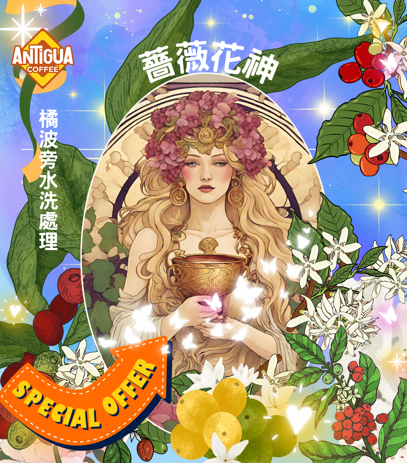 安地瓜 薔薇花神 橘波旁水洗