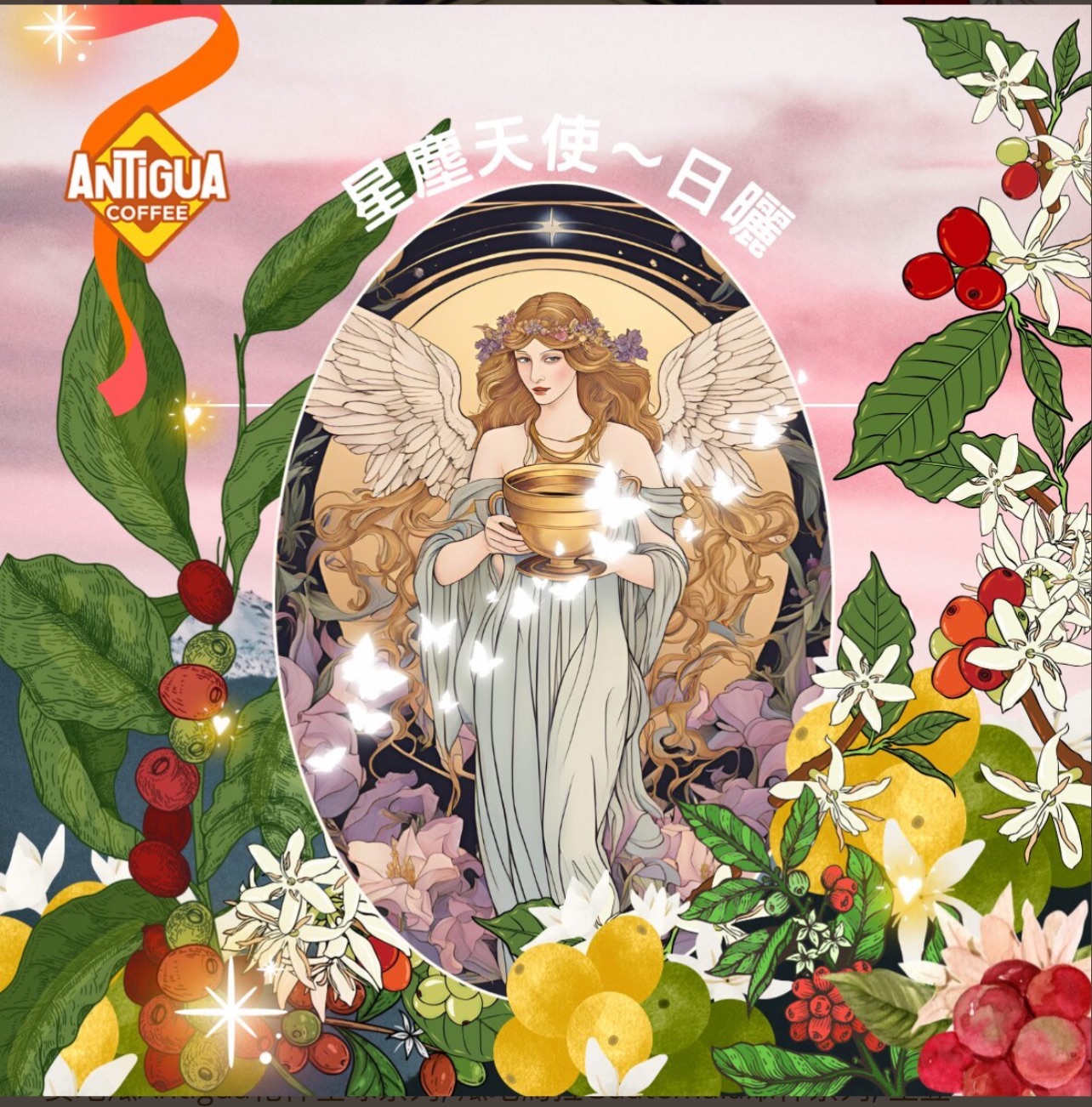 安地瓜 星塵天使拉婓爾 微厭氧日曬 特制批次
