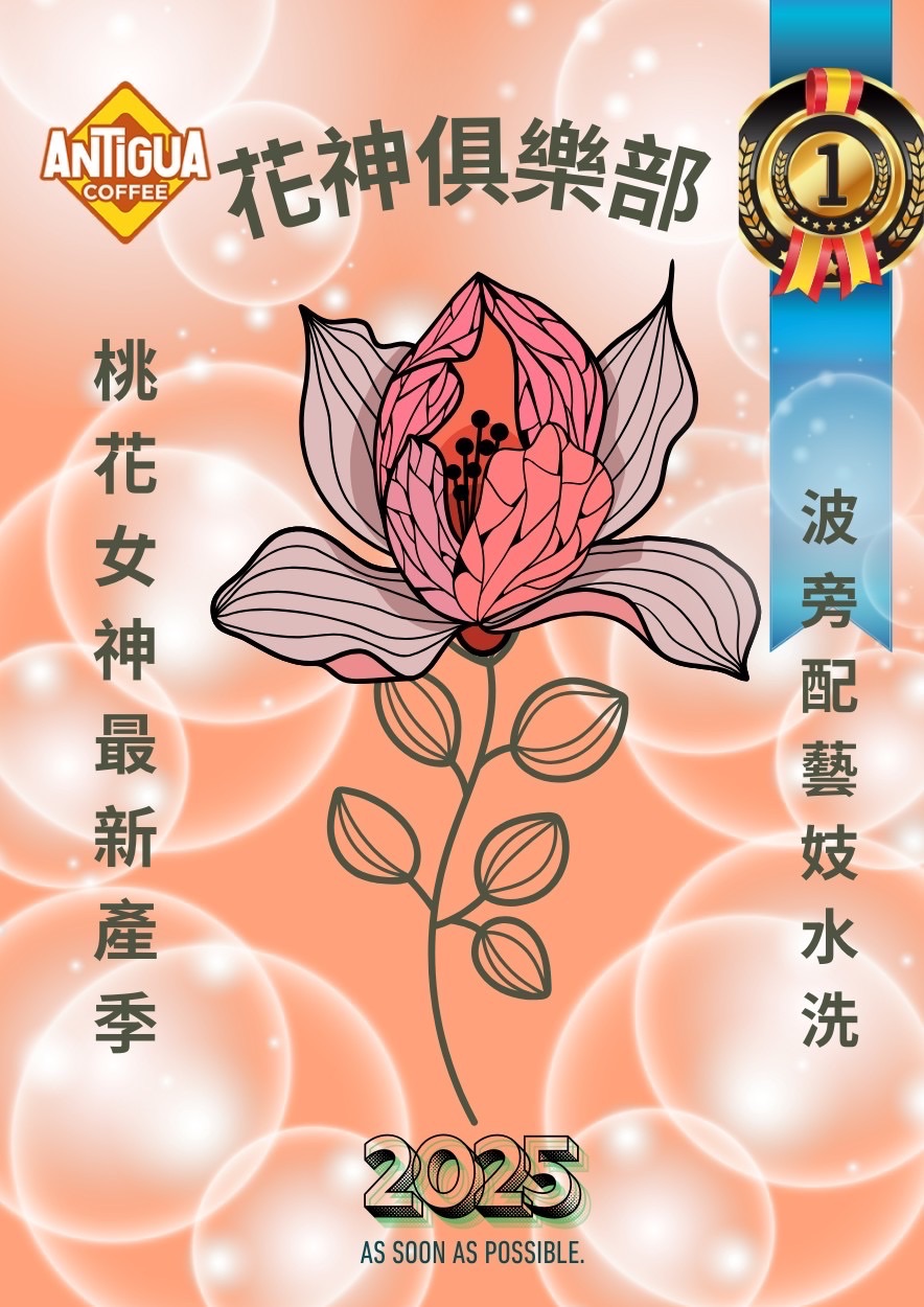 安地瓜 2025新產季 頂級花神 桃花女神 水洗