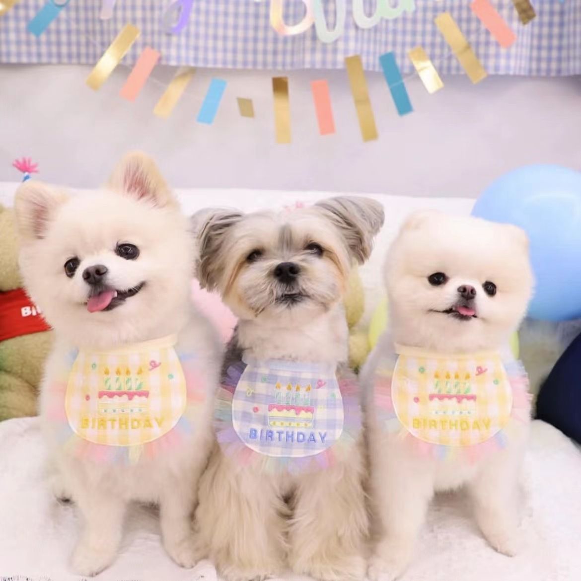 韓式可愛生日刺繡毛孩圍兜口水巾 派對帽