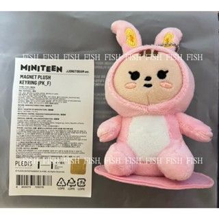 SEVENTEEN MINITEEN 淨漢 鑰匙圈 吊飾 坐娃