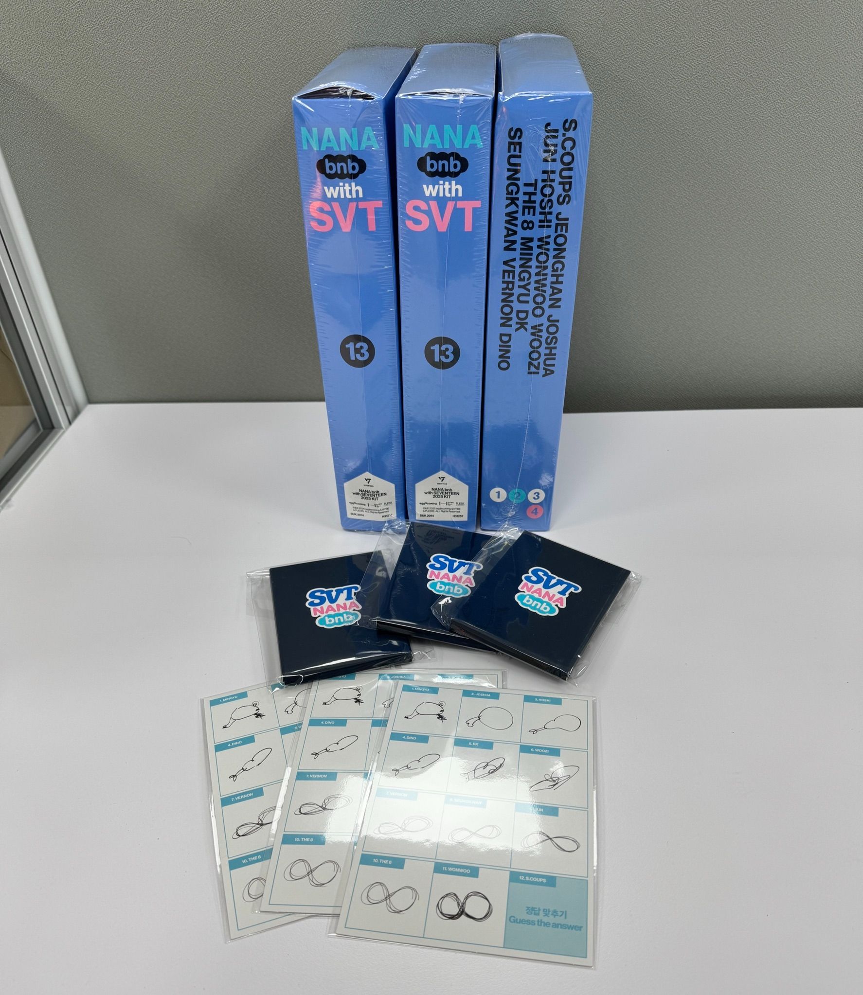 NANA BNB PB KIT 羅羅民宿寫真套組 含特典+修正貼紙