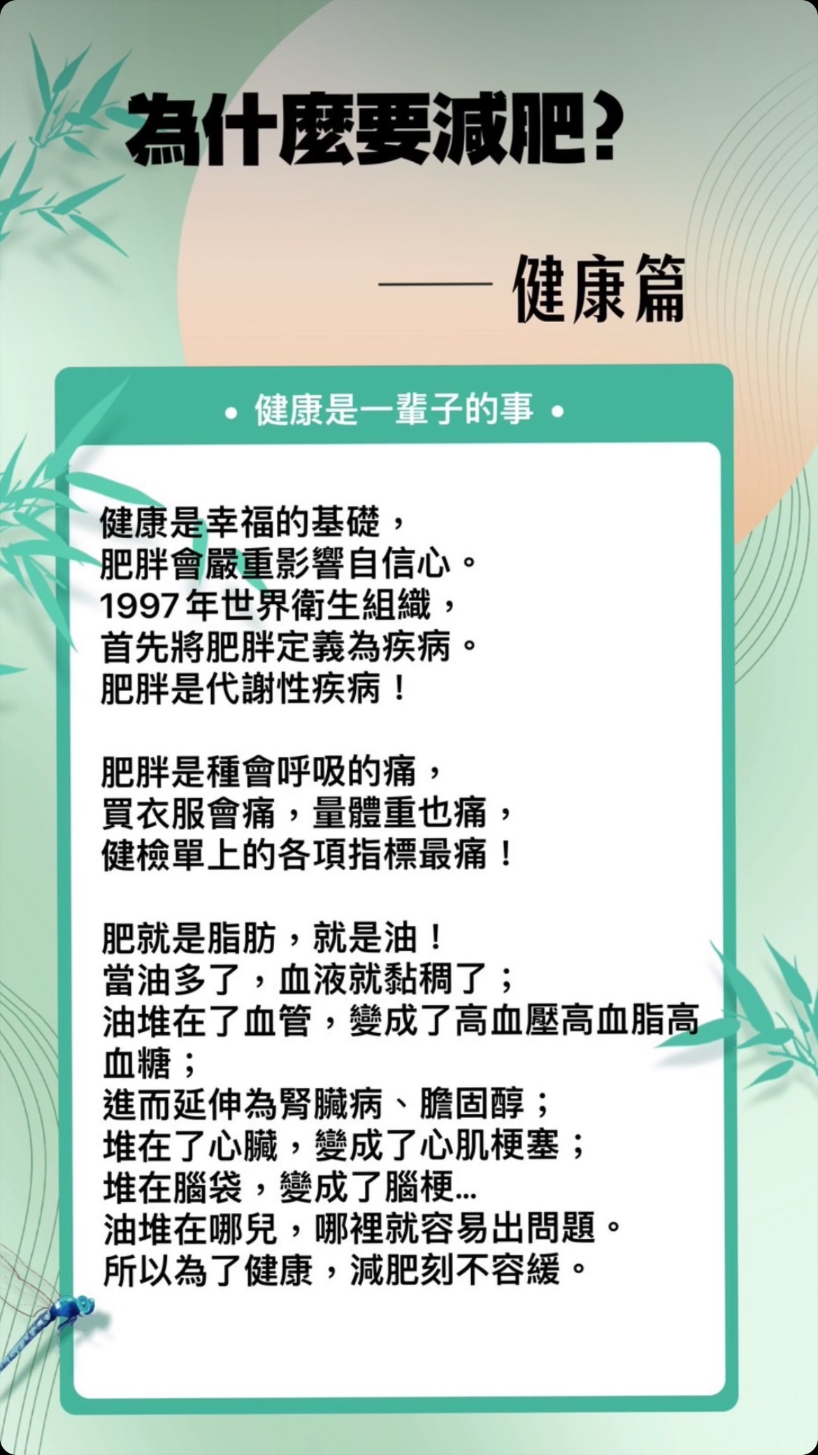 瘦瘦套組超優惠 想瘦15-29公斤 送180天的體管師1對1服務 陪跑不孤單 不達目標絕不放棄