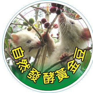 天然果子狸咖啡（豆）（動物）