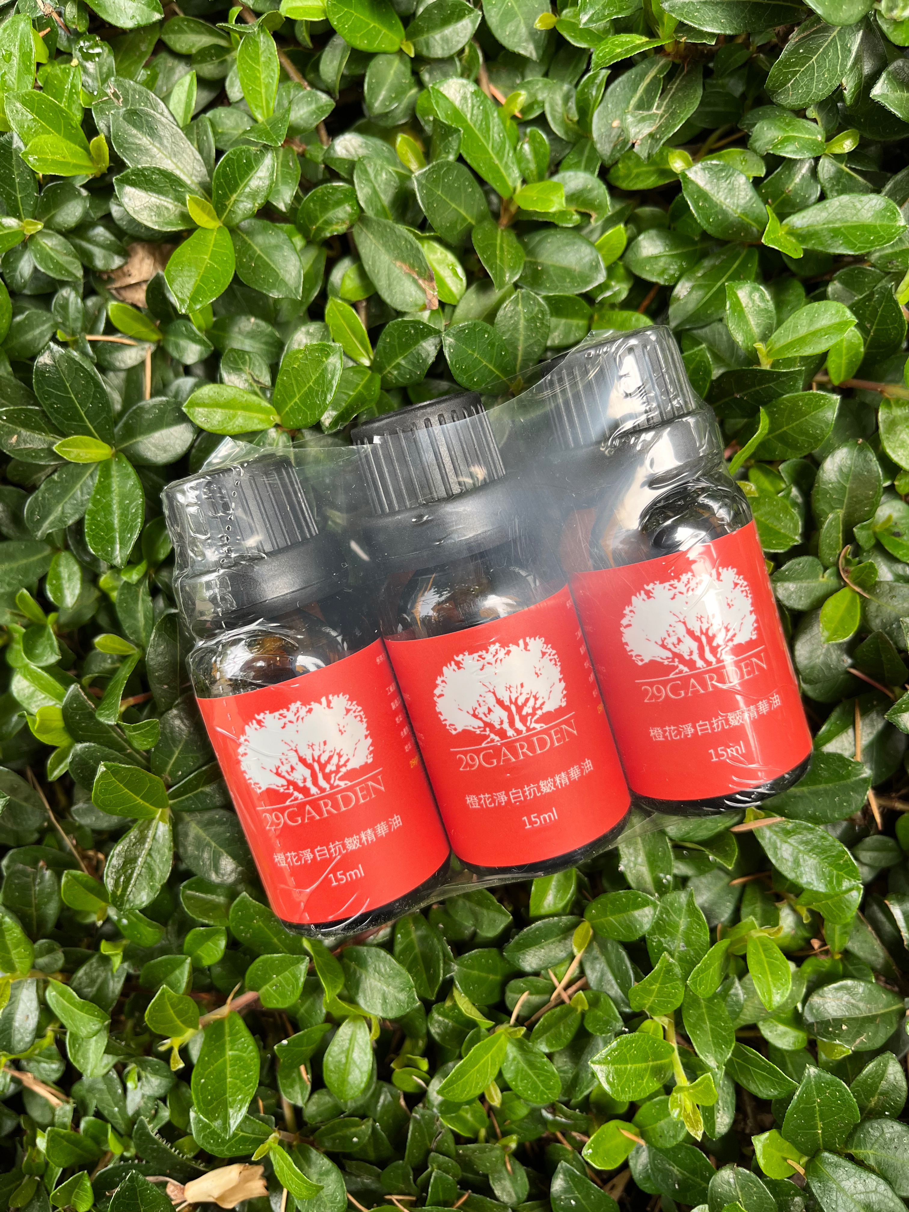 雙11優惠活動開跑