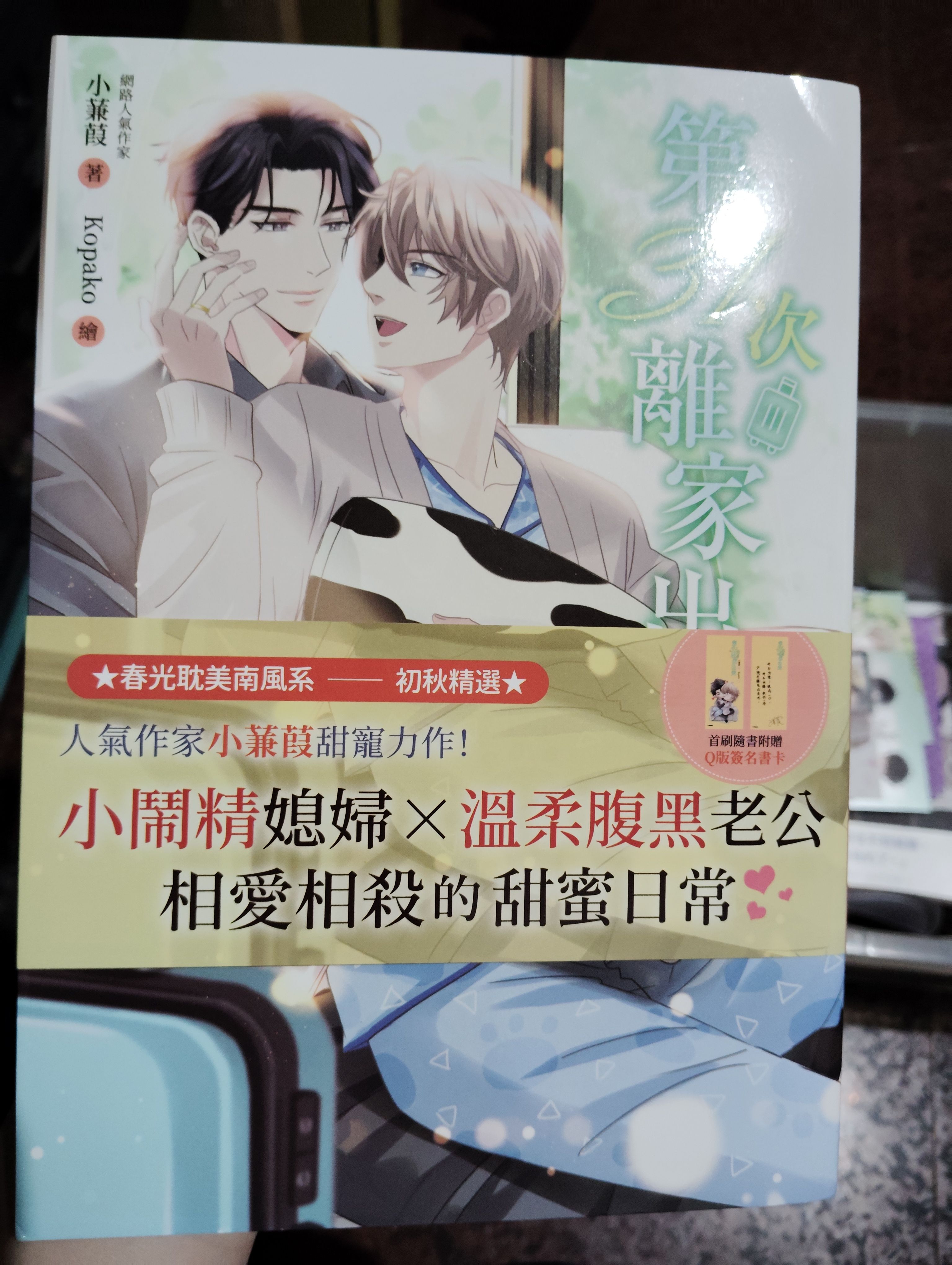 第31次離家出走