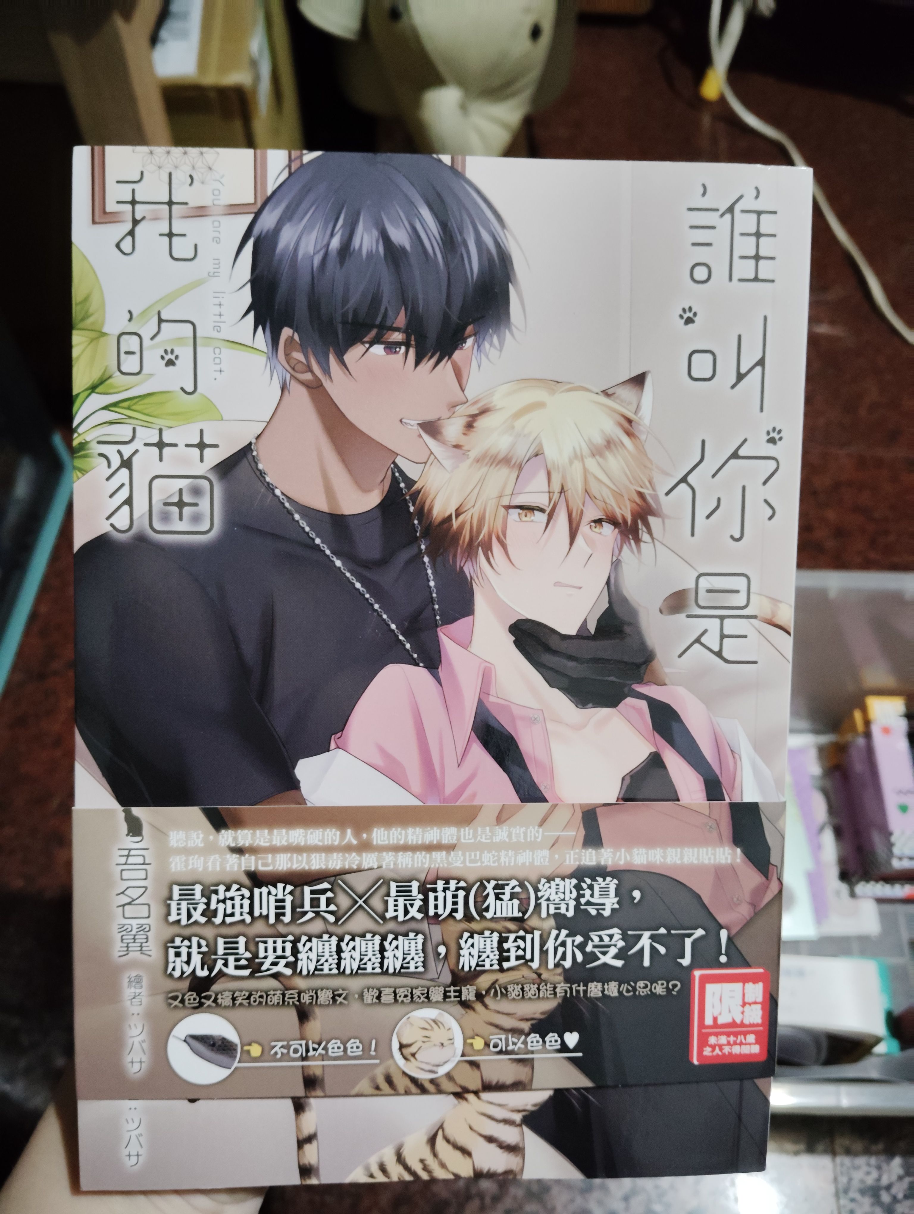 誰叫你是我的貓
