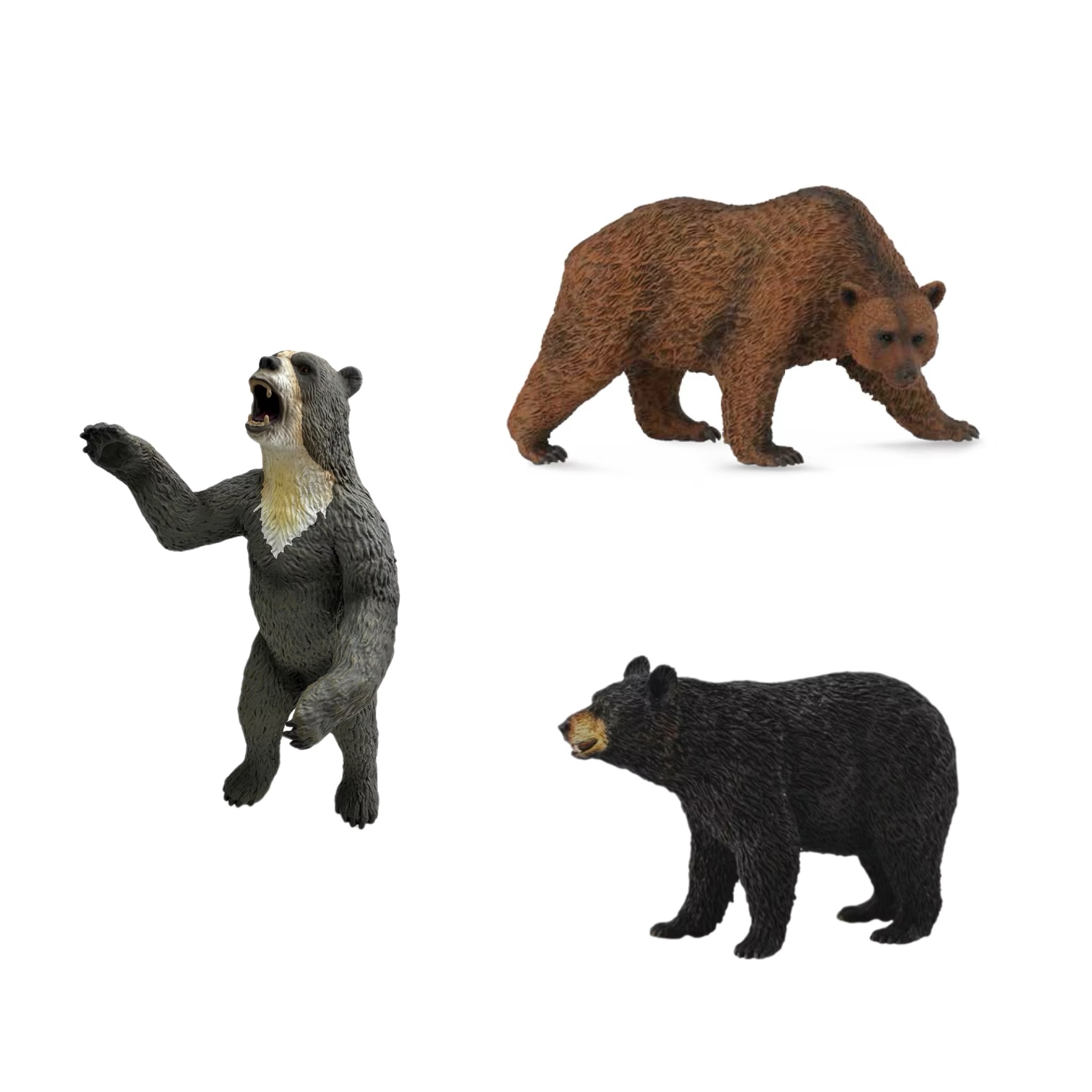 【 CollectA 棕熊、黑熊、巨型短面熊 】