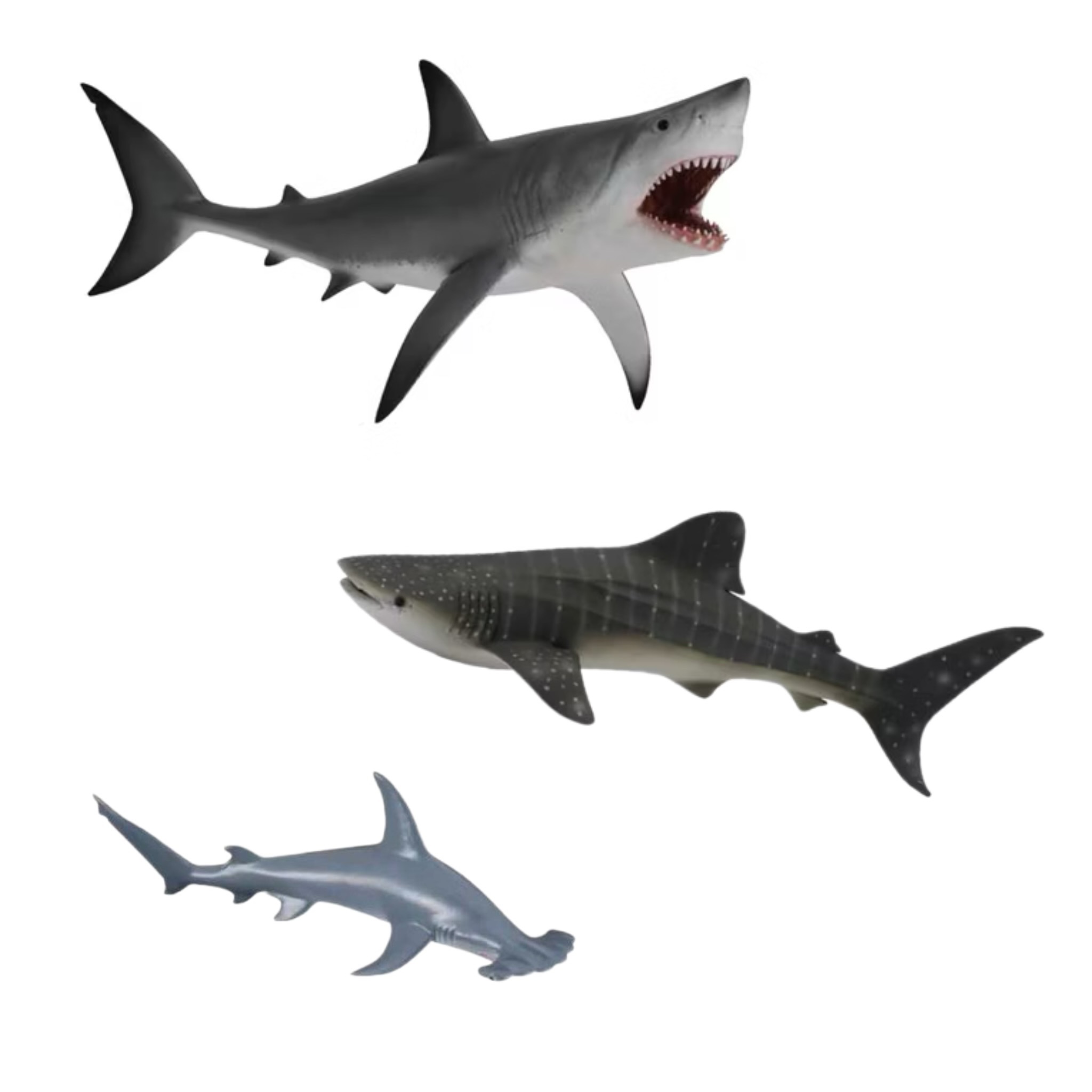 【CollectA 大白鯊、鯨鯊、鎚頭鯊】