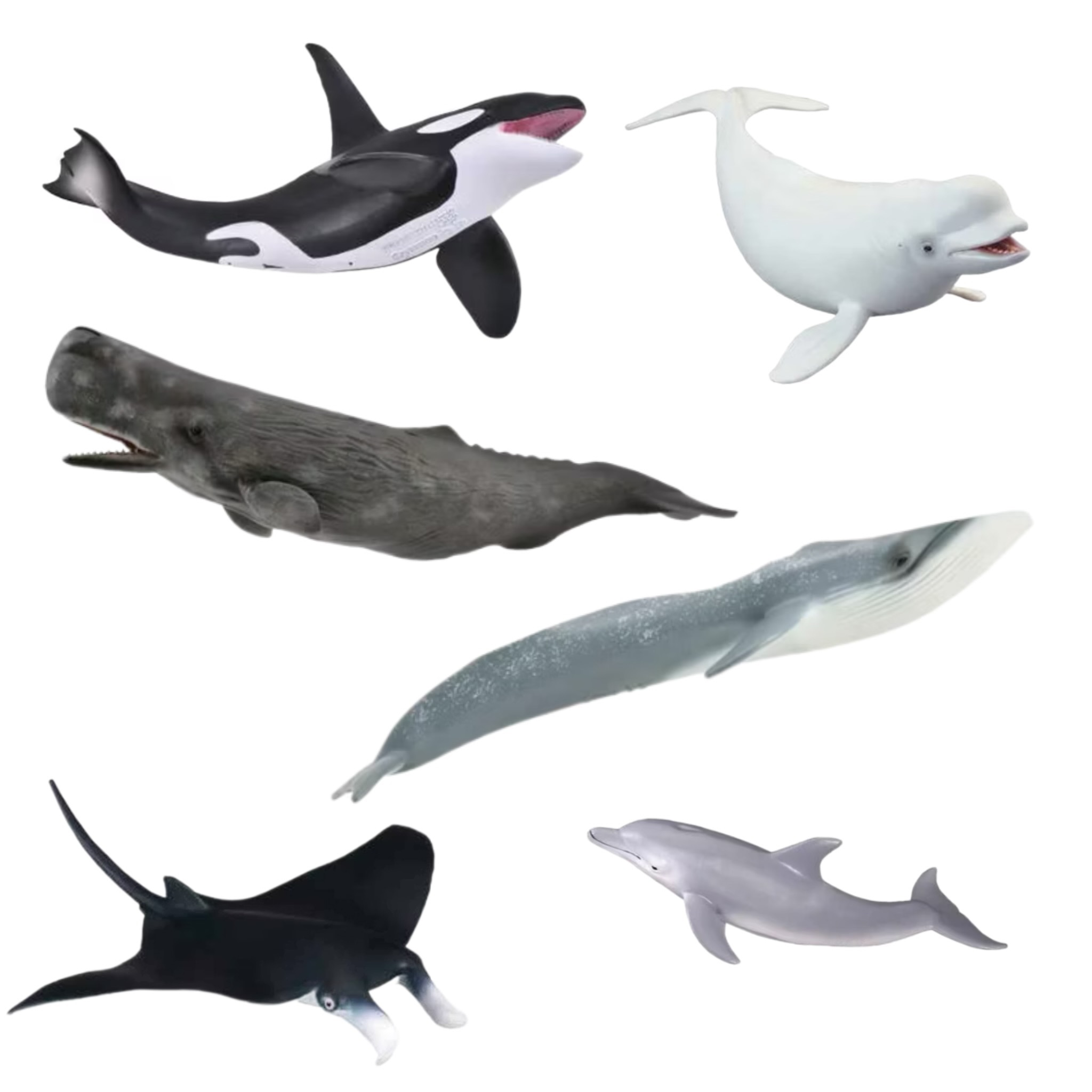 【CollectA 虎鯨、白鯨、抹香鯨、藍鯨、蝠魟、瓶鼻海豚】