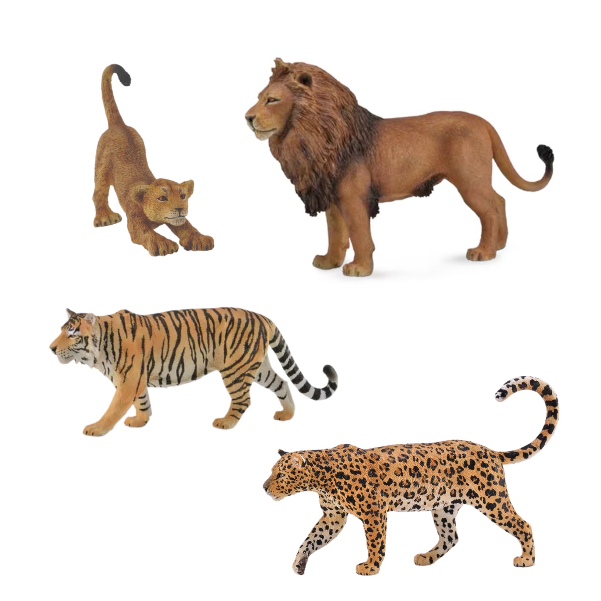 【CollectA 非洲雄獅、非洲豹、東北虎】