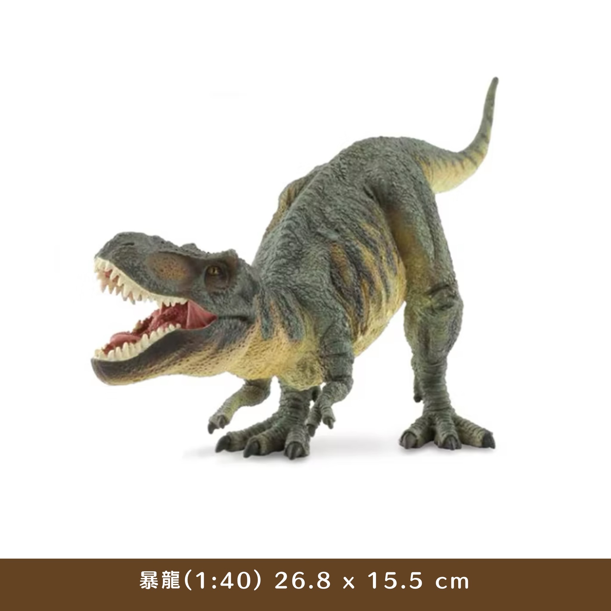 【CollectA 1:40 暴龍、棘龍游泳、鐮刀龍】