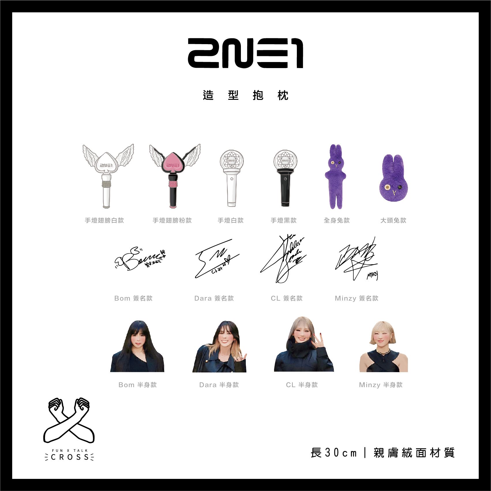 2NE1 造型抱枕! 【預購14-20天左右】（請點圖看更多選項）