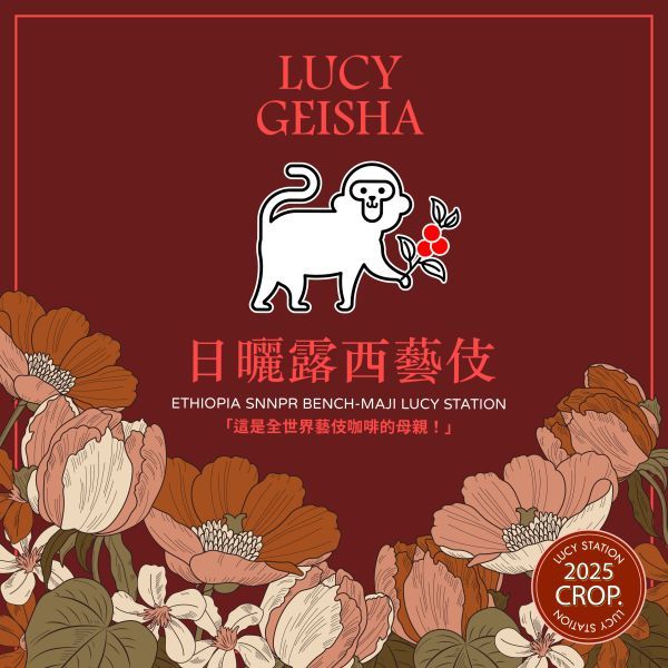 2025 日曬露西藝伎 -衣索比亞 / 班奇馬吉 / 露西處理站 / 頂級 G1 藝伎 淺中焙