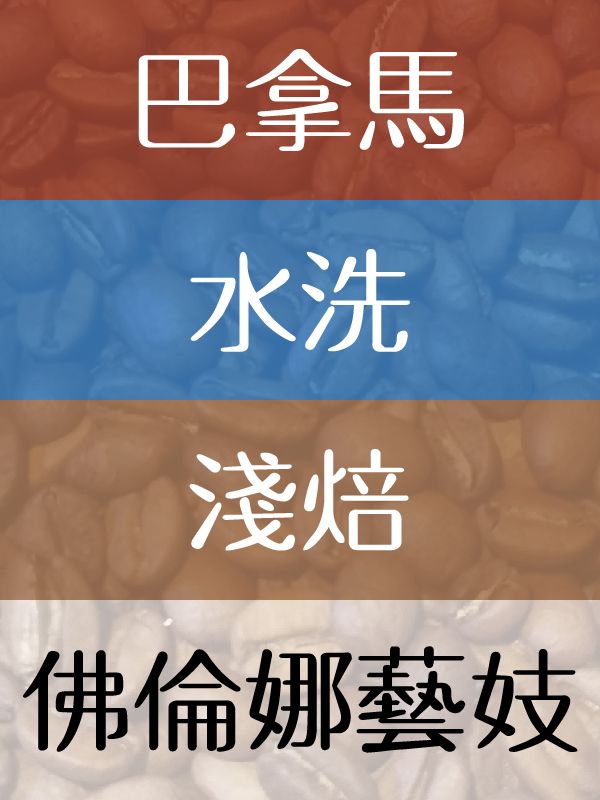 佛羅娜藝妓