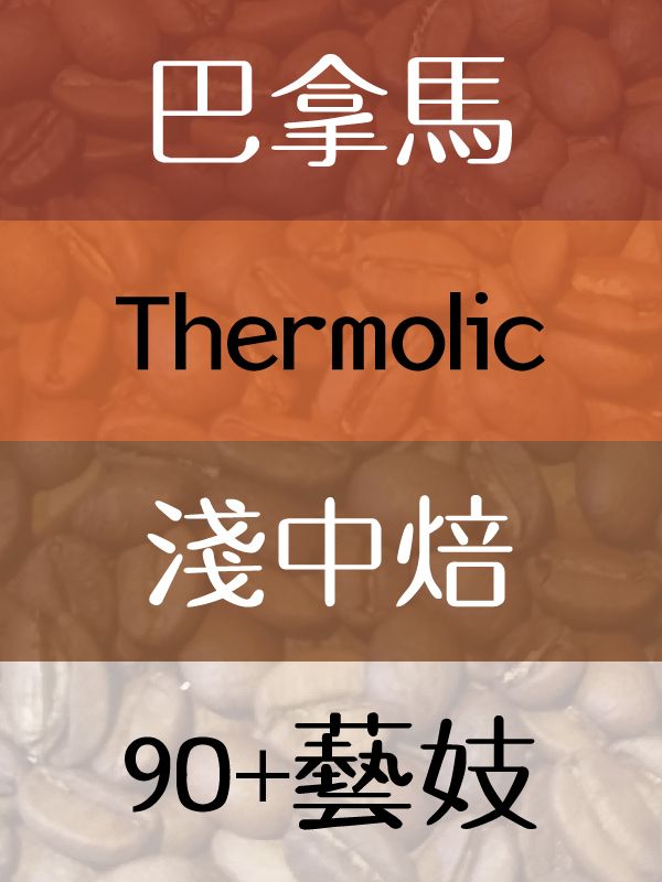 90+系列Thermolic藝妓
