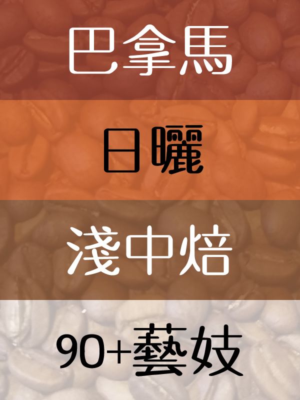 90+系列日曬藝妓